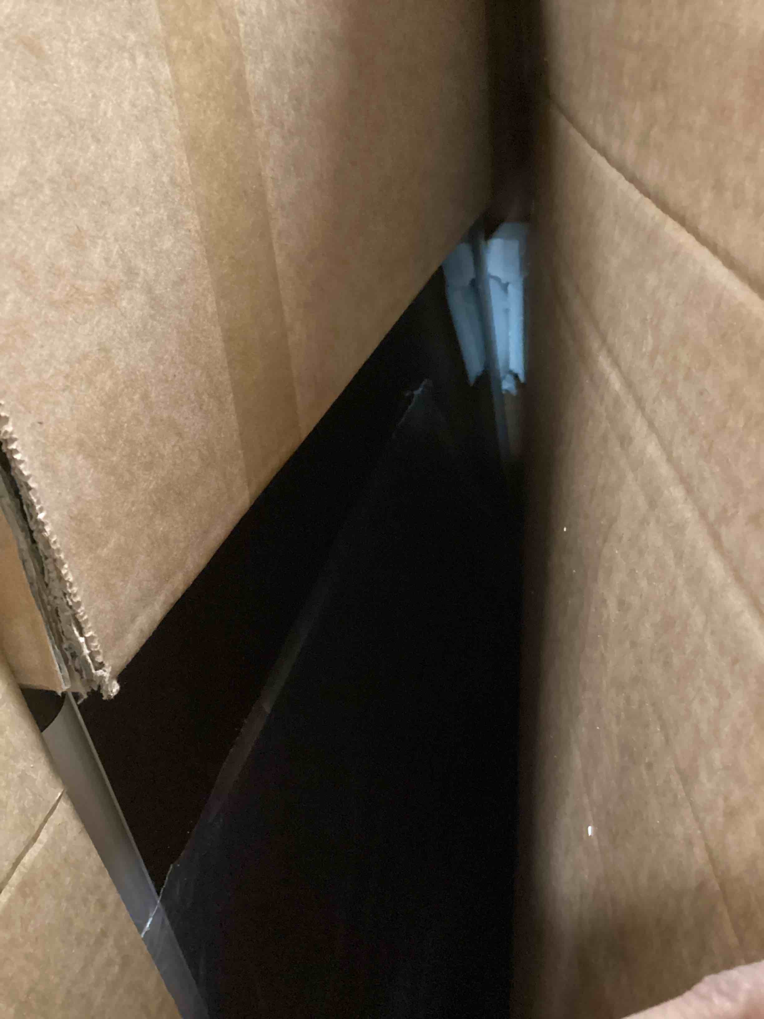 https://s3.amazonaws.com/lotting-images-prod/bidfta/PPE1465481_1733862309410.jpeg