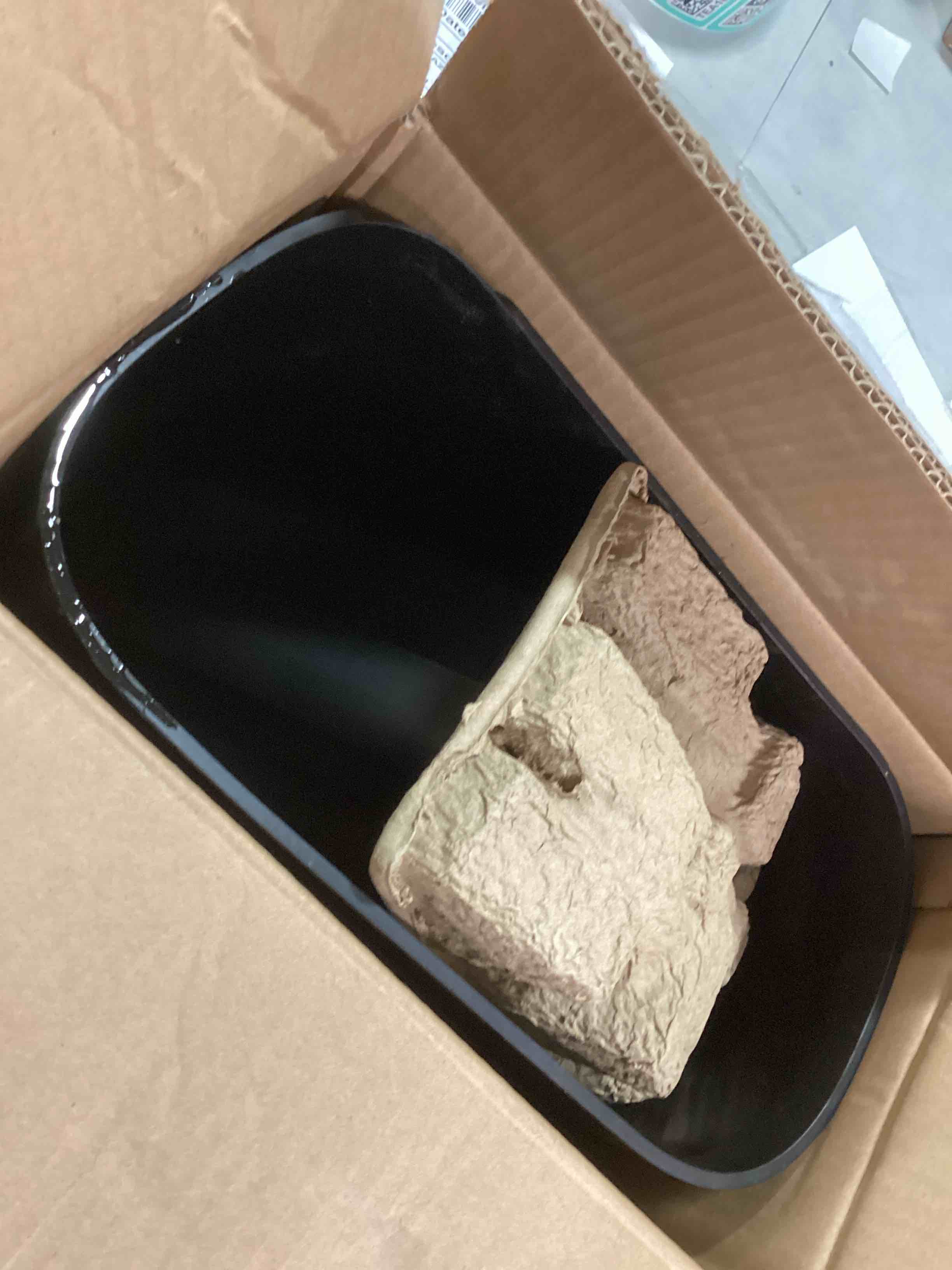 https://s3.amazonaws.com/lotting-images-prod/bidfta/PPE1468857_1733255227612.jpeg