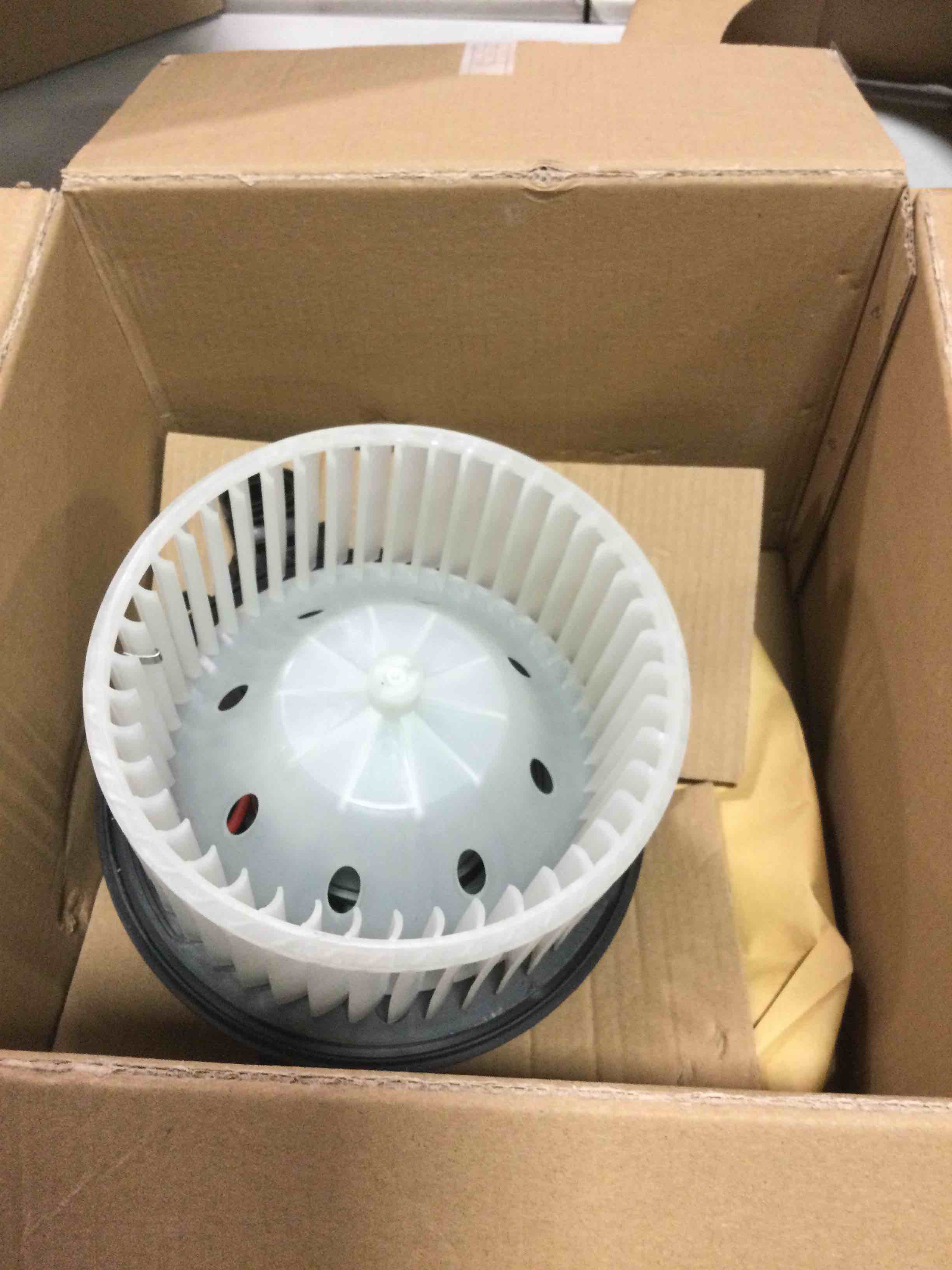 https://s3.amazonaws.com/lotting-images-prod/bidfta/PPE1471096_1732214021358.jpeg
