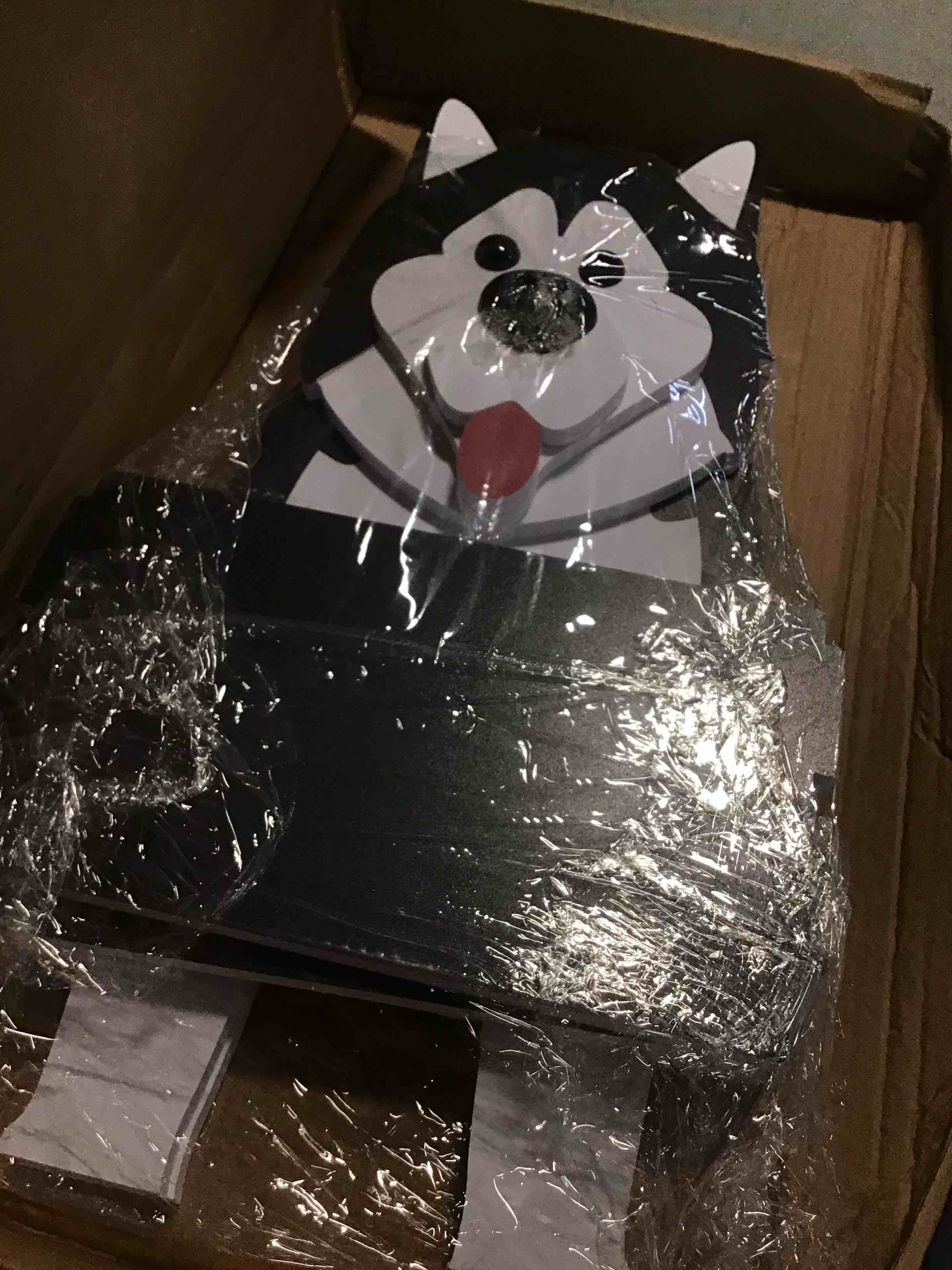 https://s3.amazonaws.com/lotting-images-prod/bidfta/PPE1477904_1733164106280.jpeg