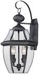 Brayden outdoor wall lantern 