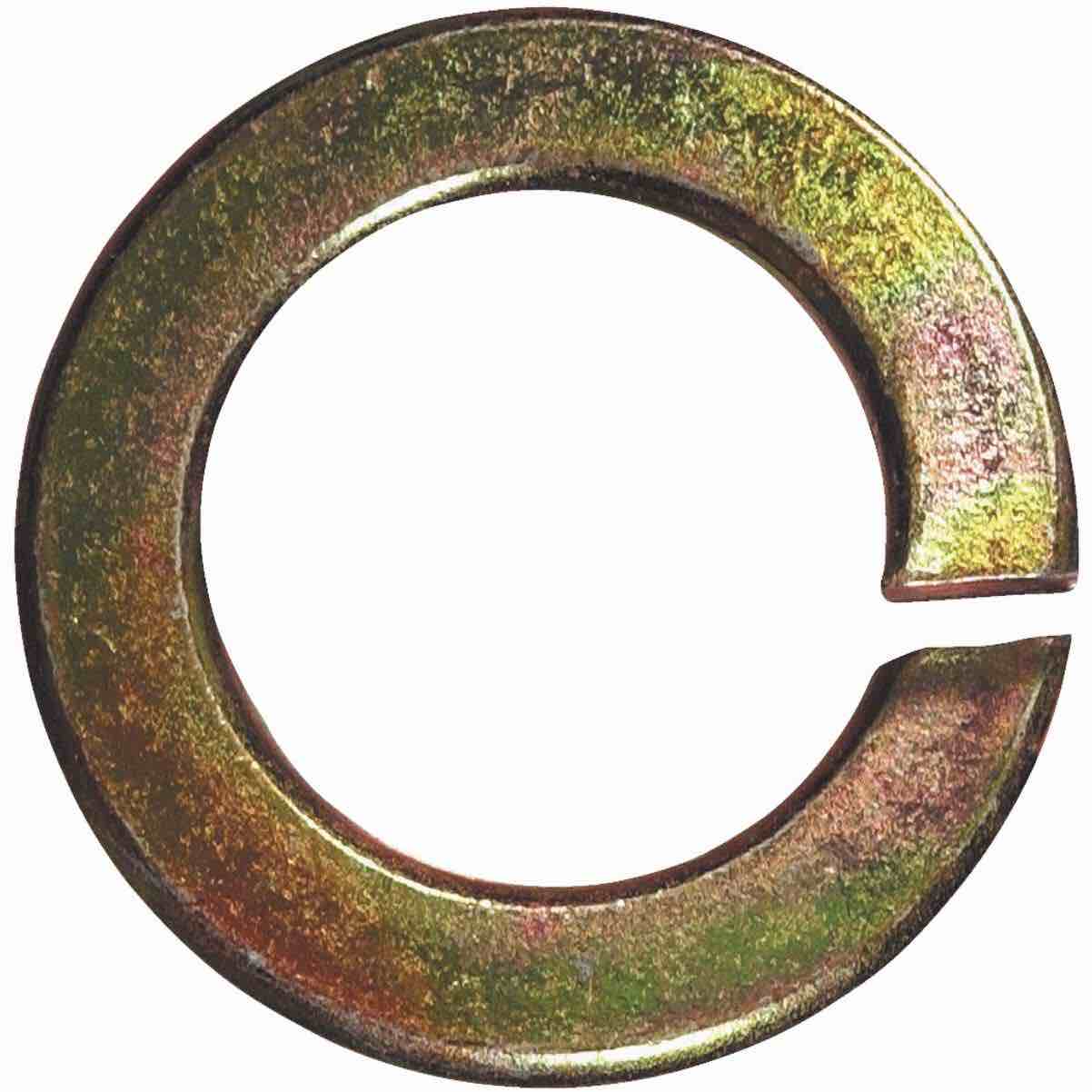 5/16in ZN sae wing nut 25ct