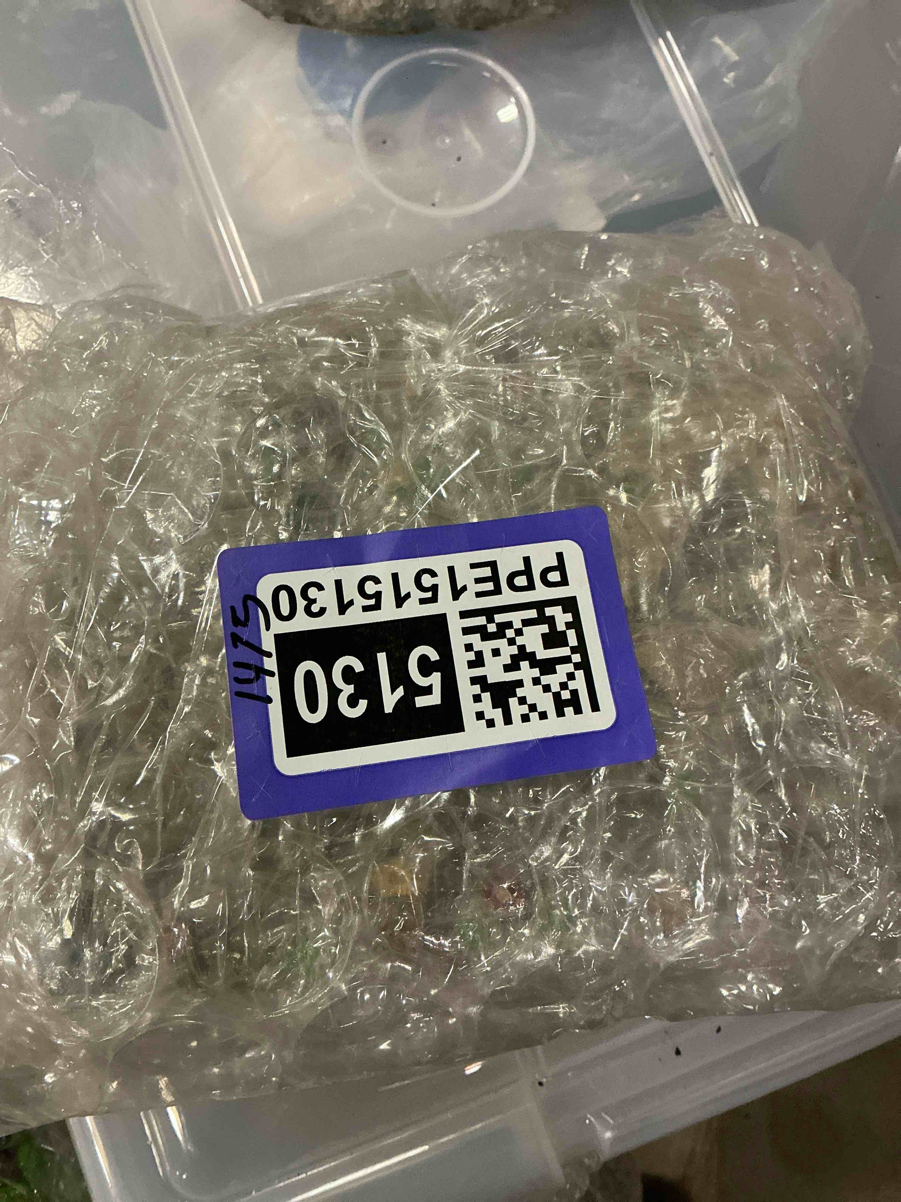 https://s3.amazonaws.com/lotting-images-prod/bidfta/PPE1515130_1750700353555.jpeg