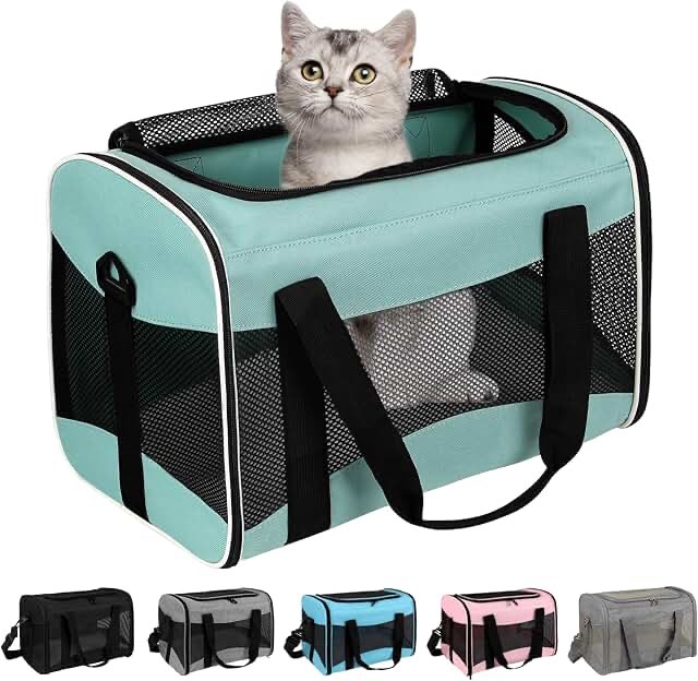 Cat Carriers Dog Carrier Pet for Small Medium Cats Dogs Puppies up to 15 Lbs, TSA Airline Approved Soft Sided, Collapsible Travel Puppy - Black