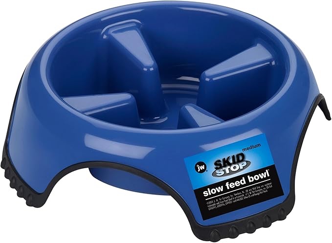 Jw Pet Company Skid Stop Slow Feed Bowl Jumbo
