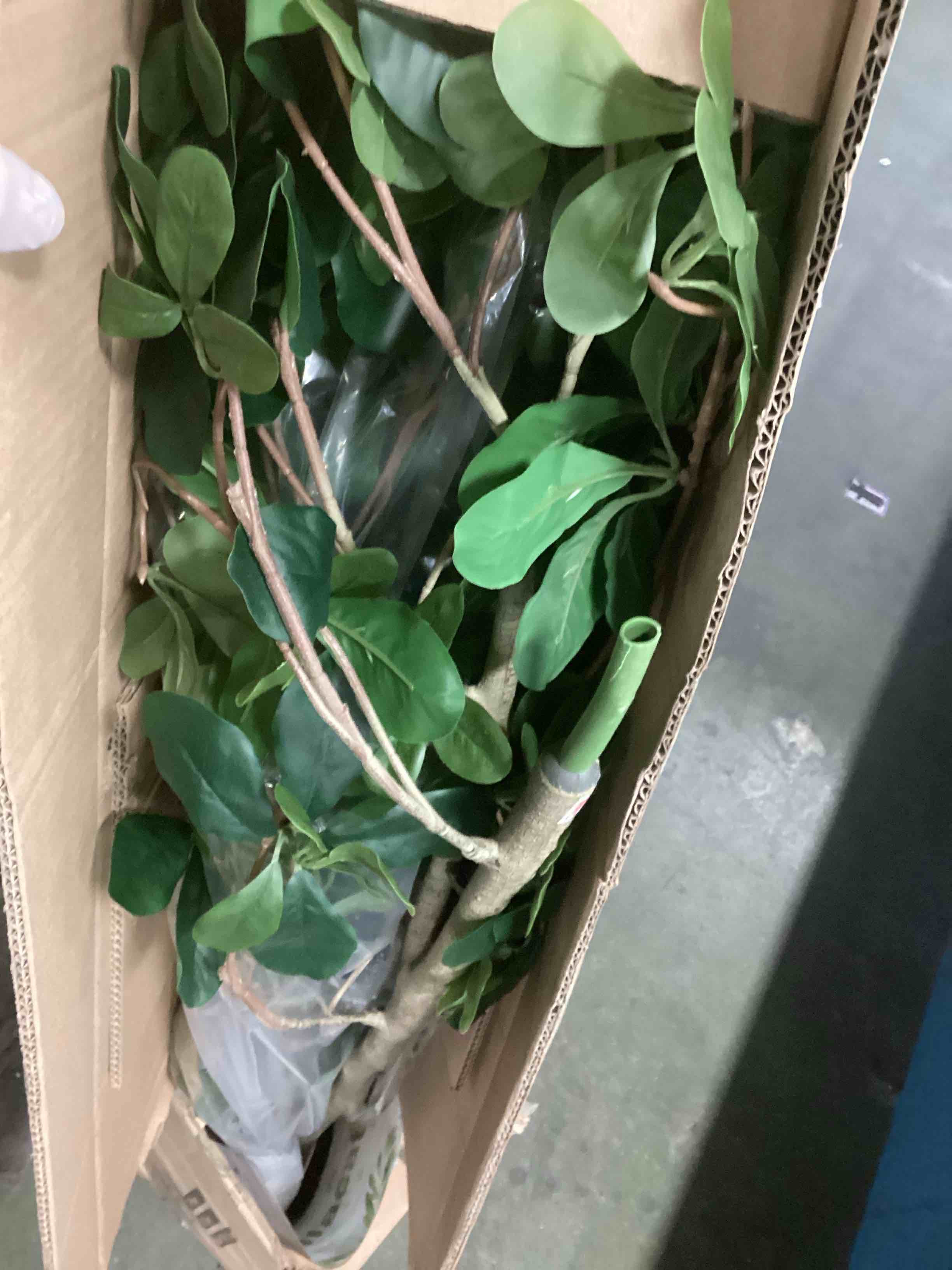 https://s3.amazonaws.com/lotting-images-prod/bidfta/PPE1573862_1738244350219.jpeg