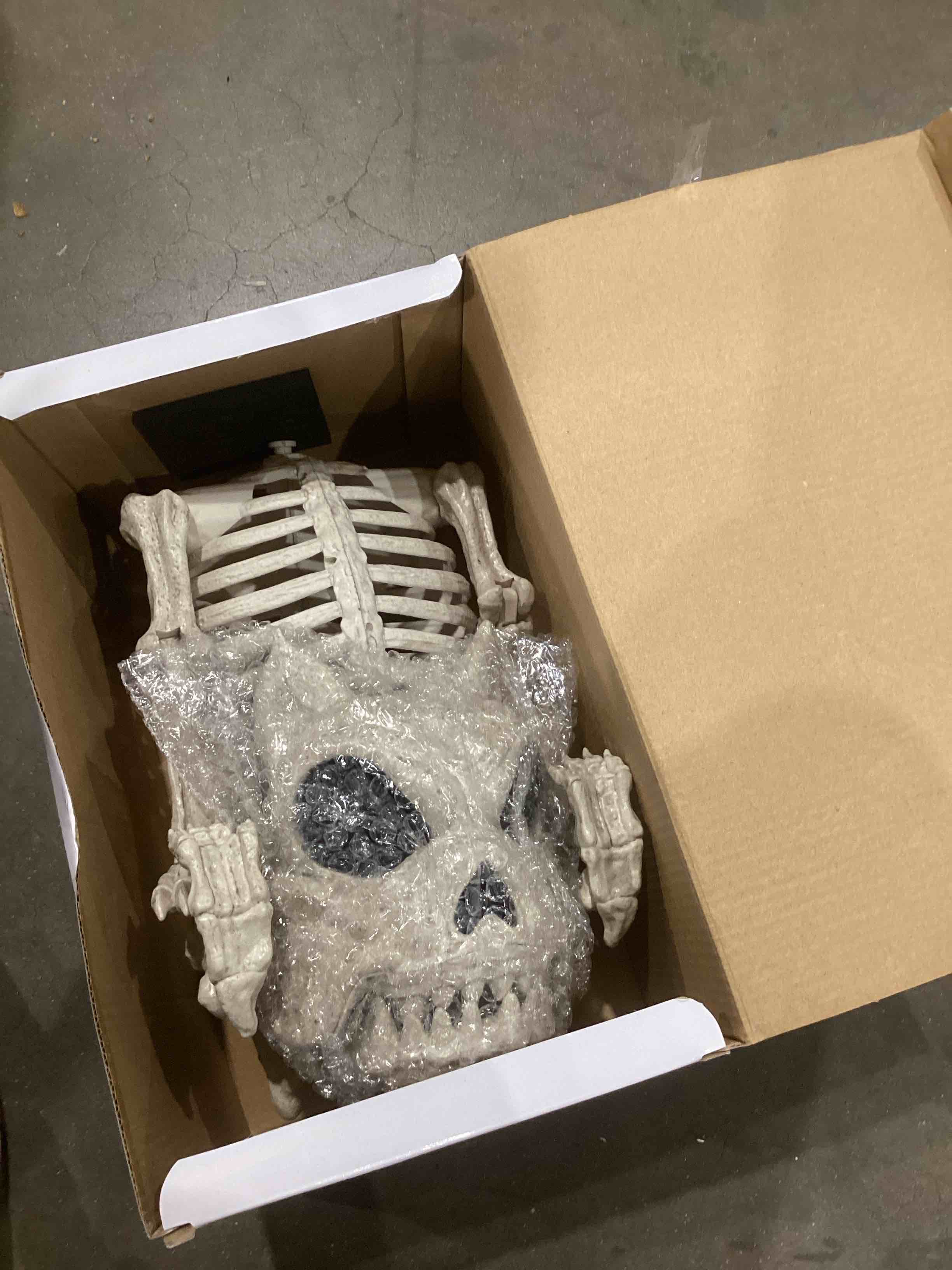 Halloween life size skeleton