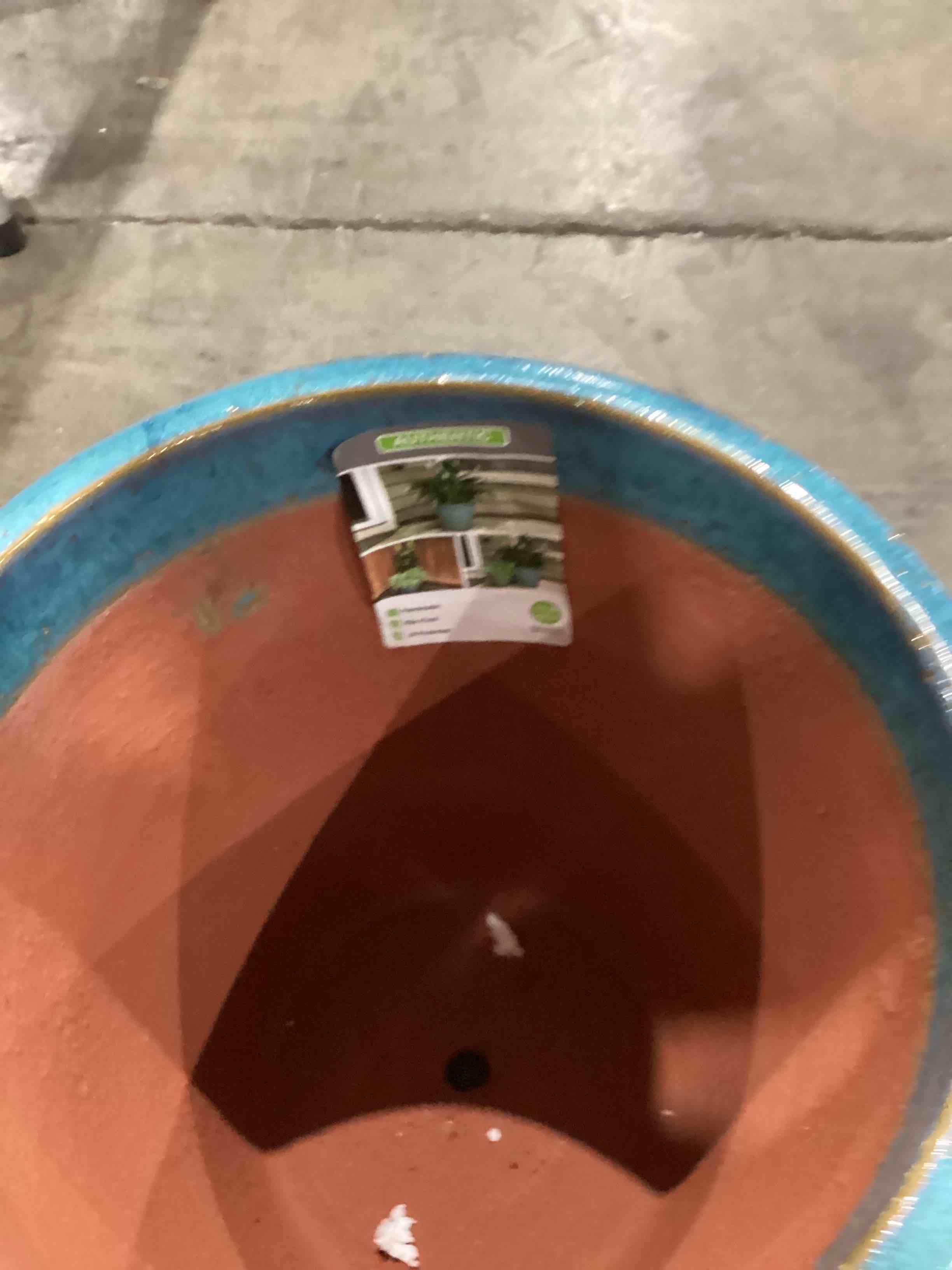 https://s3.amazonaws.com/lotting-images-prod/bidfta/PPE1589523_1752686464437.jpeg