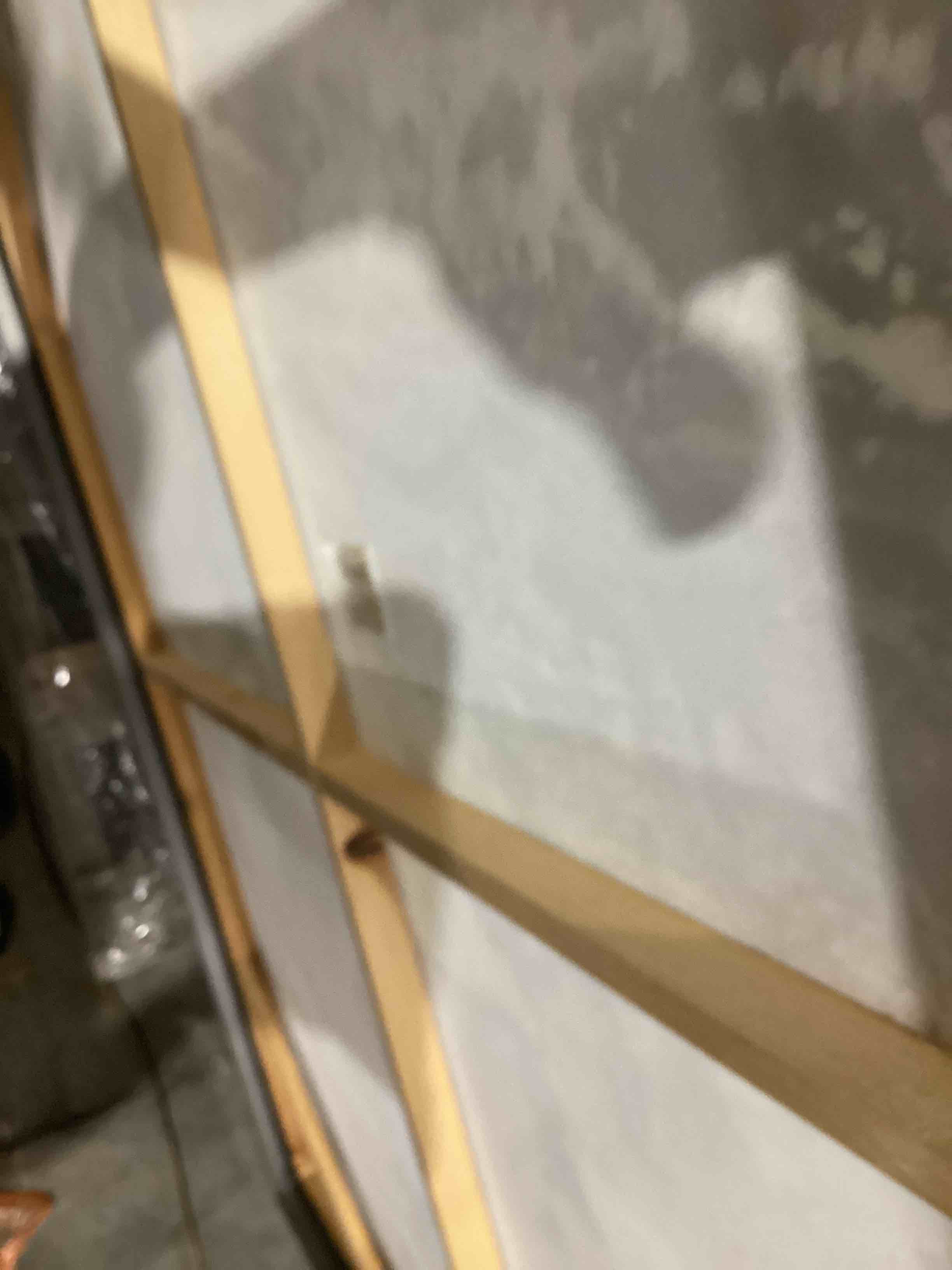 https://s3.amazonaws.com/lotting-images-prod/bidfta/PPE1593921_1752772103199.jpeg