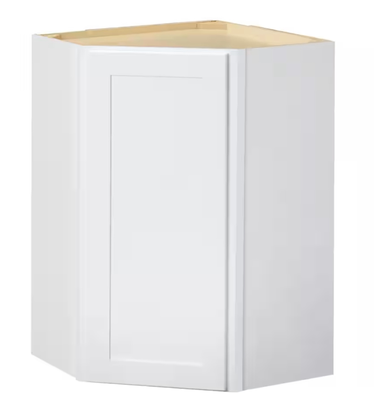Hampton Bay Avondale 24 in. Ready to Assemble Plywood Shaker Diagonal Corner Kitchen Cabinet in Alpine White