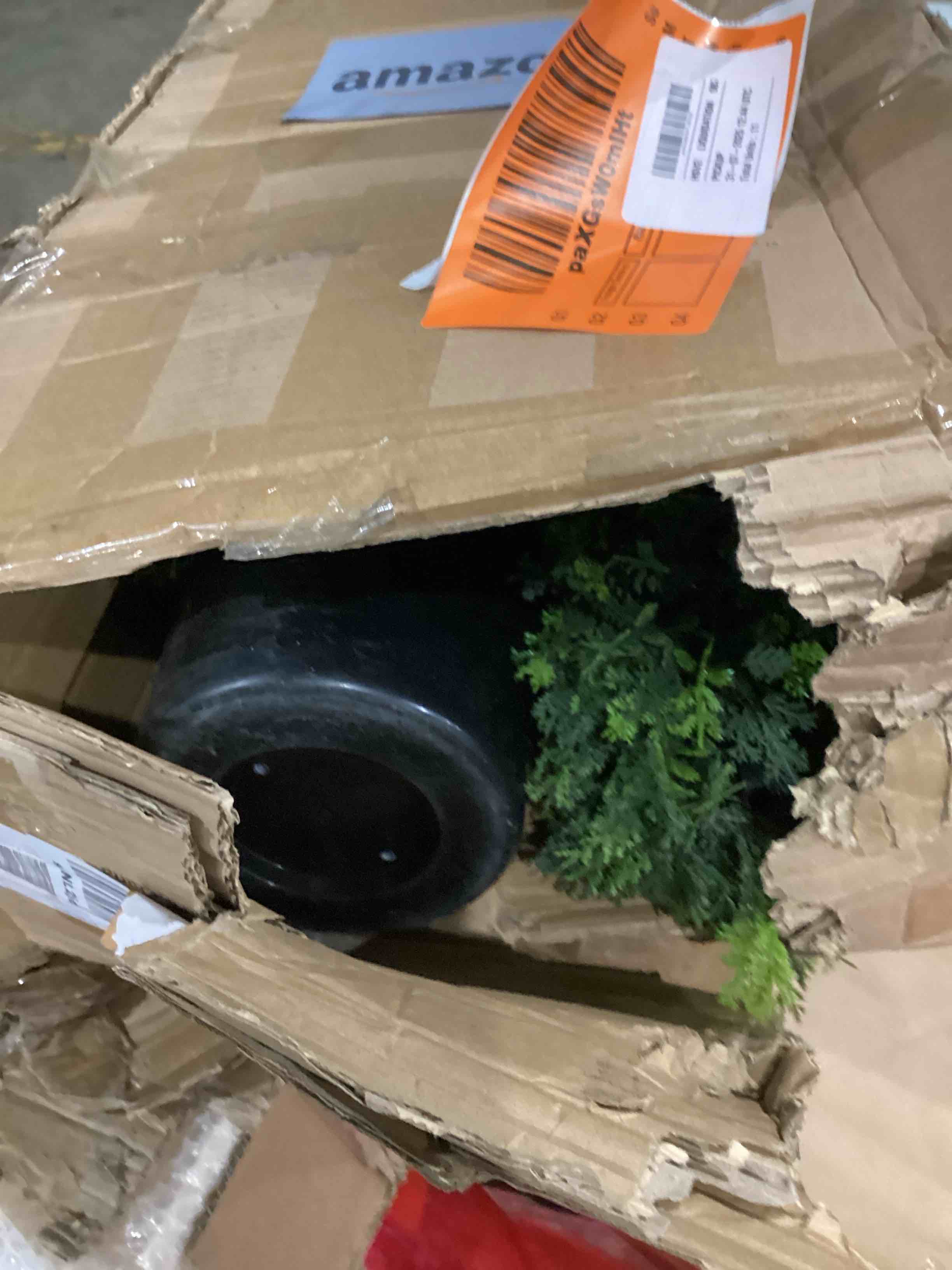https://s3.amazonaws.com/lotting-images-prod/bidfta/PPE1596626_1754499023489.jpeg