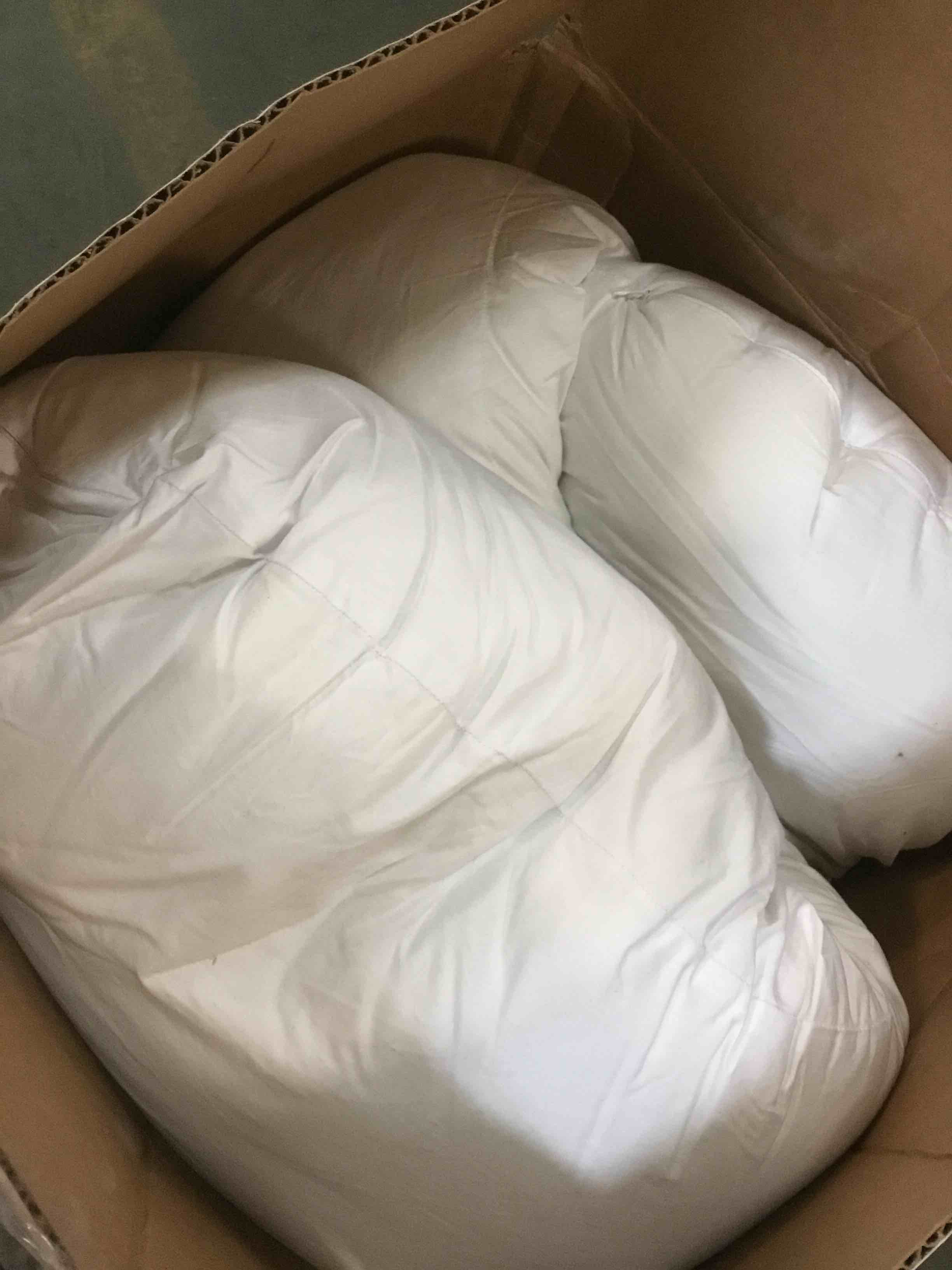 https://s3.amazonaws.com/lotting-images-prod/bidfta/PPE1623477_1737559650620.jpeg