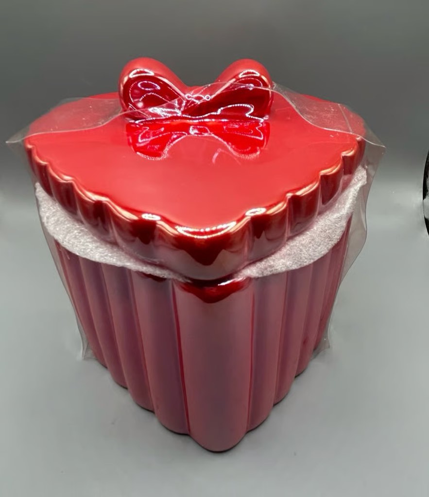 Target Bullseye Iridescent Red Heart Canister With Red Bow Topper Valentine 2025 (3 pieces)