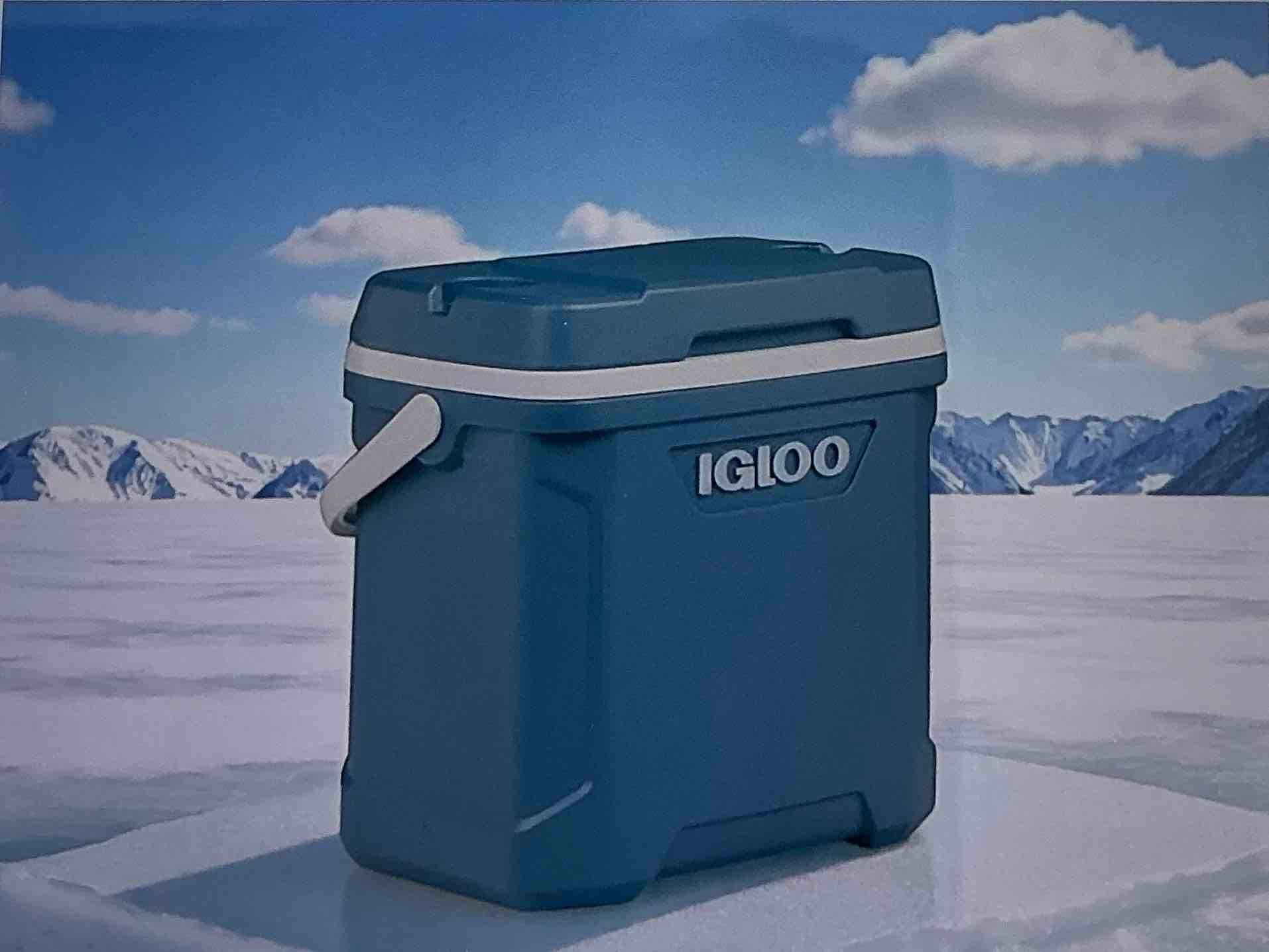 Portable 30-quart cooler with hand, ice box, perfect for planning a family getaway, heading to a  Ball game.