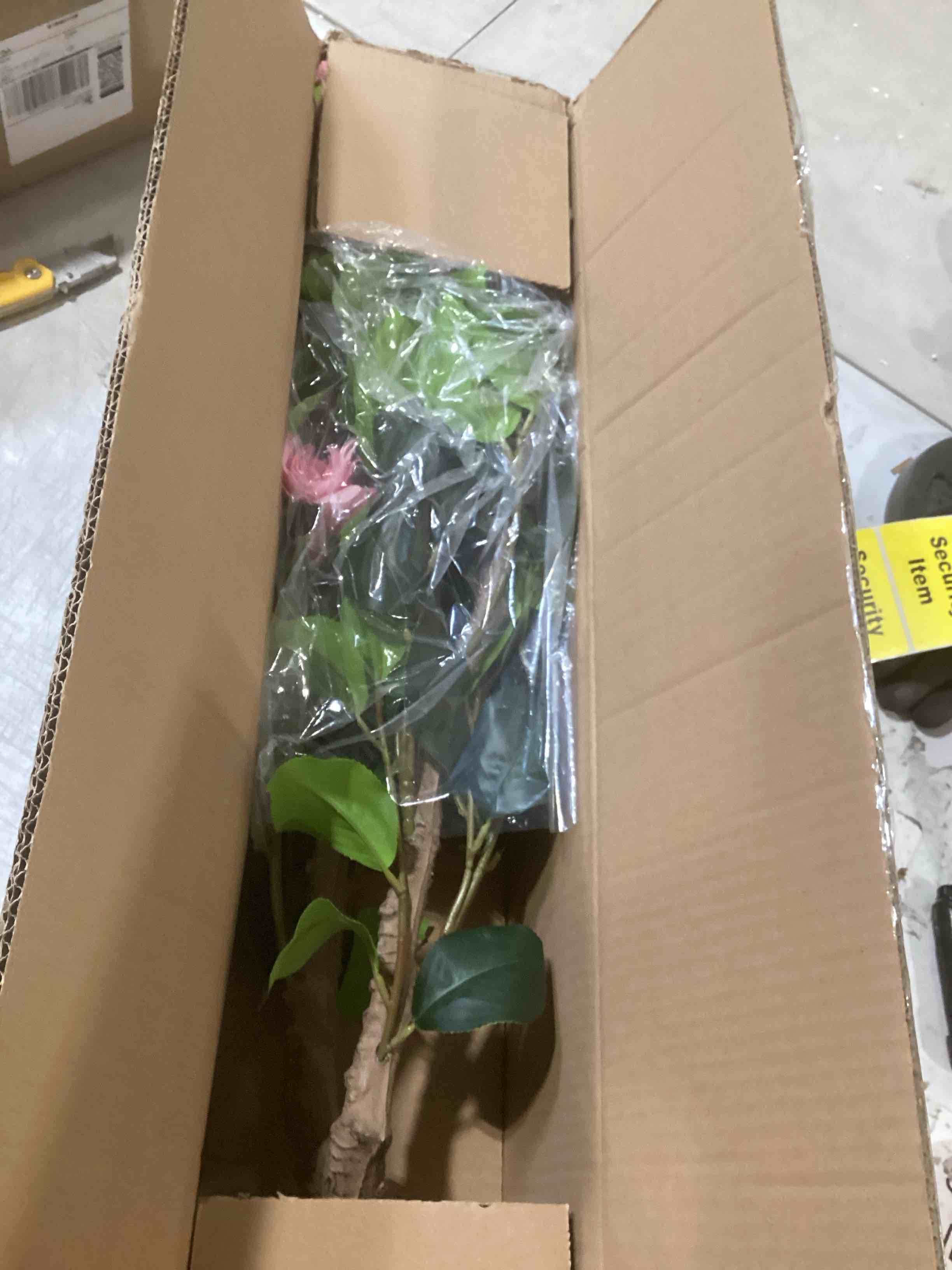 https://s3.amazonaws.com/lotting-images-prod/bidfta/PPE1720195_1742582171280.jpeg