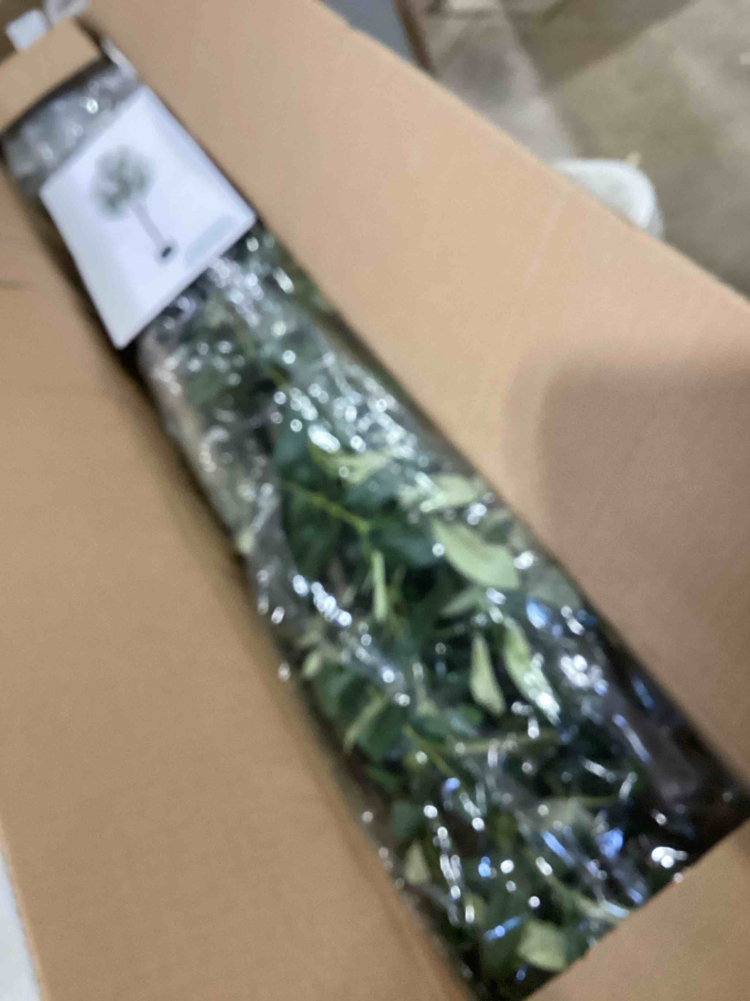 https://s3.amazonaws.com/lotting-images-prod/bidfta/PPE1723504_1746127085985.jpeg