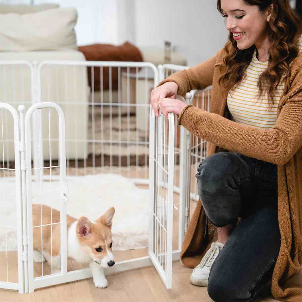 6 Panel Metal Exercise Pen With Door