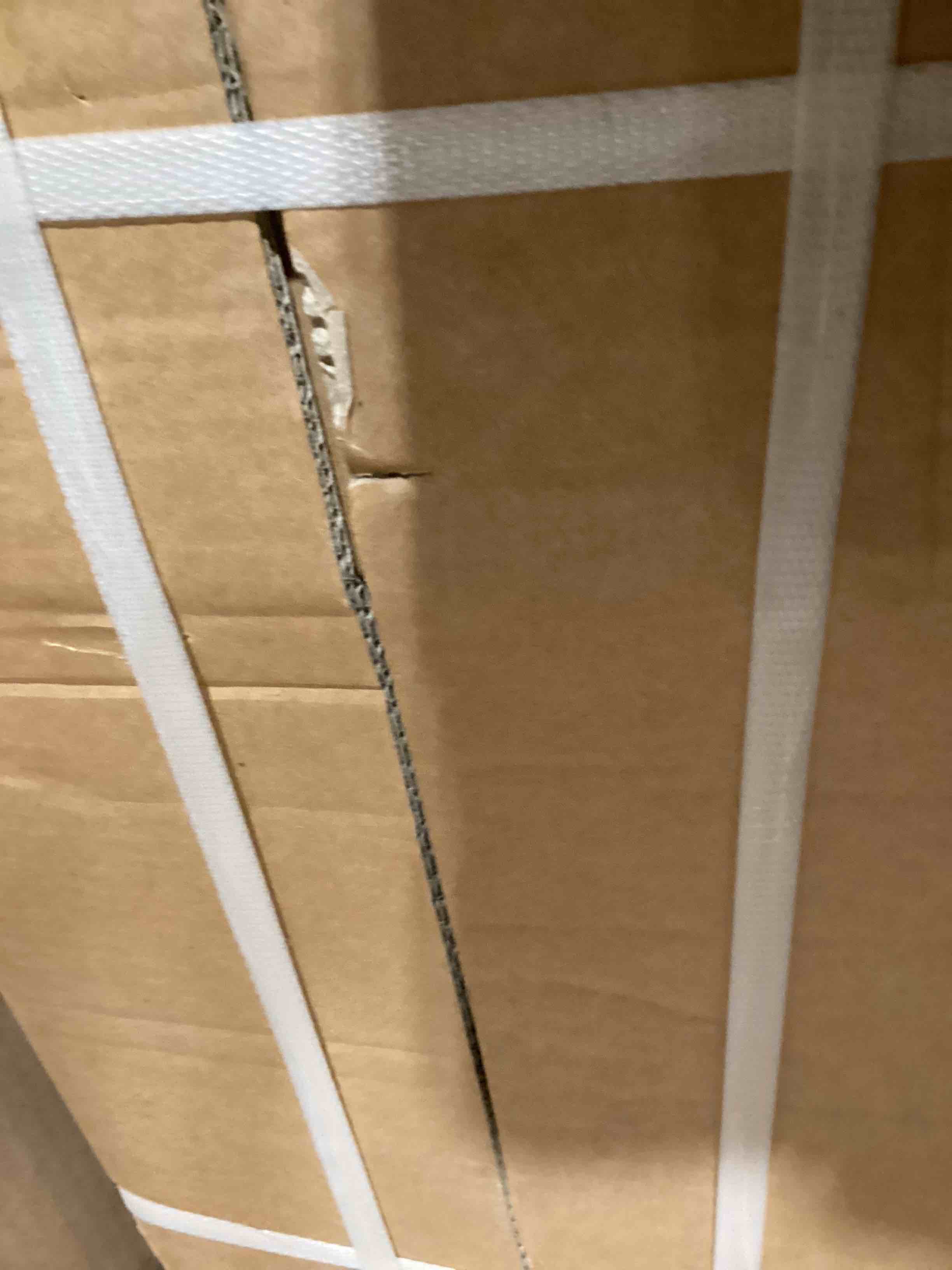https://s3.amazonaws.com/lotting-images-prod/bidfta/PPE1740740_1752063366031.jpeg
