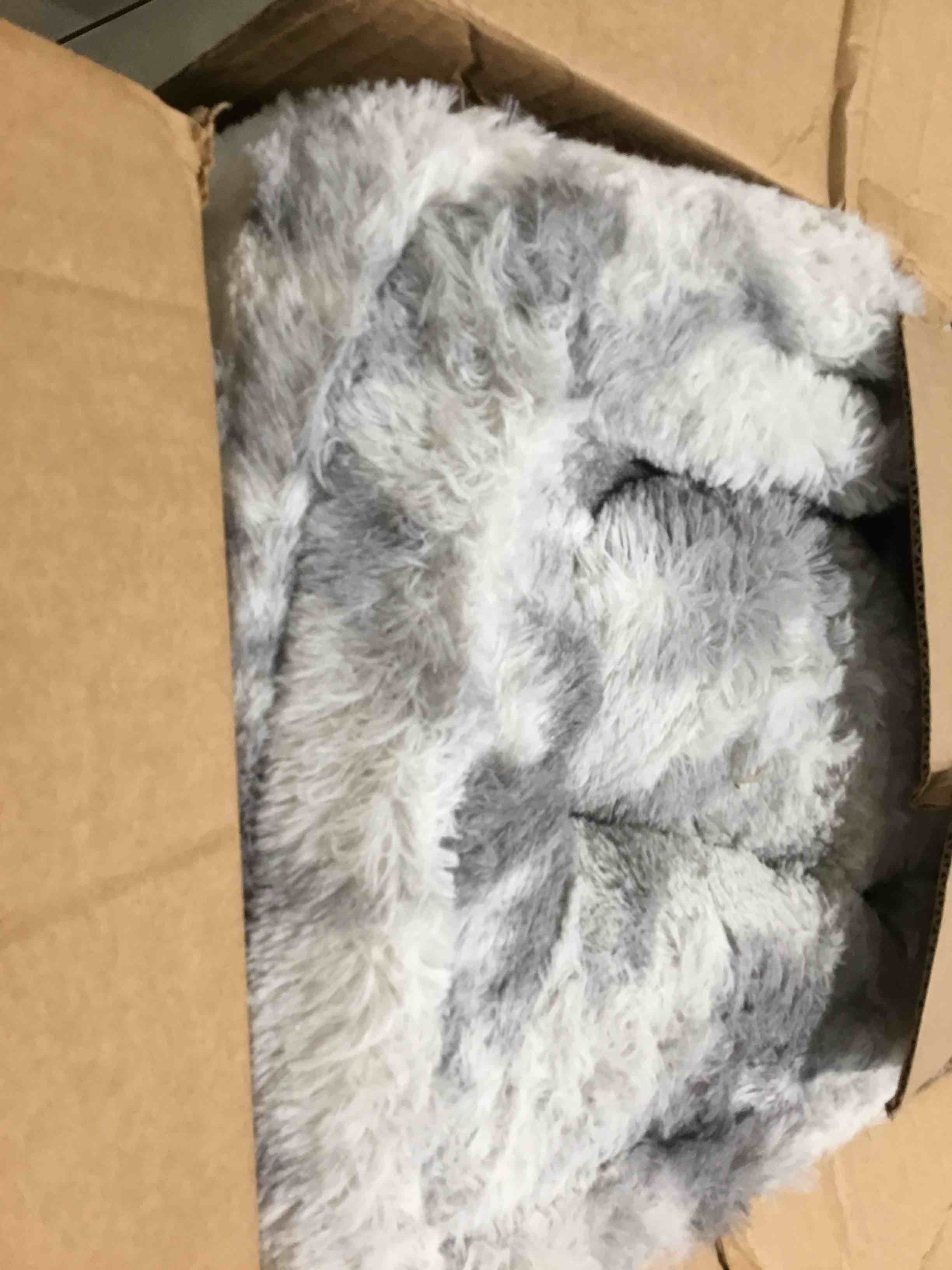 https://s3.amazonaws.com/lotting-images-prod/bidfta/PPE1742661_1746099685763.jpeg