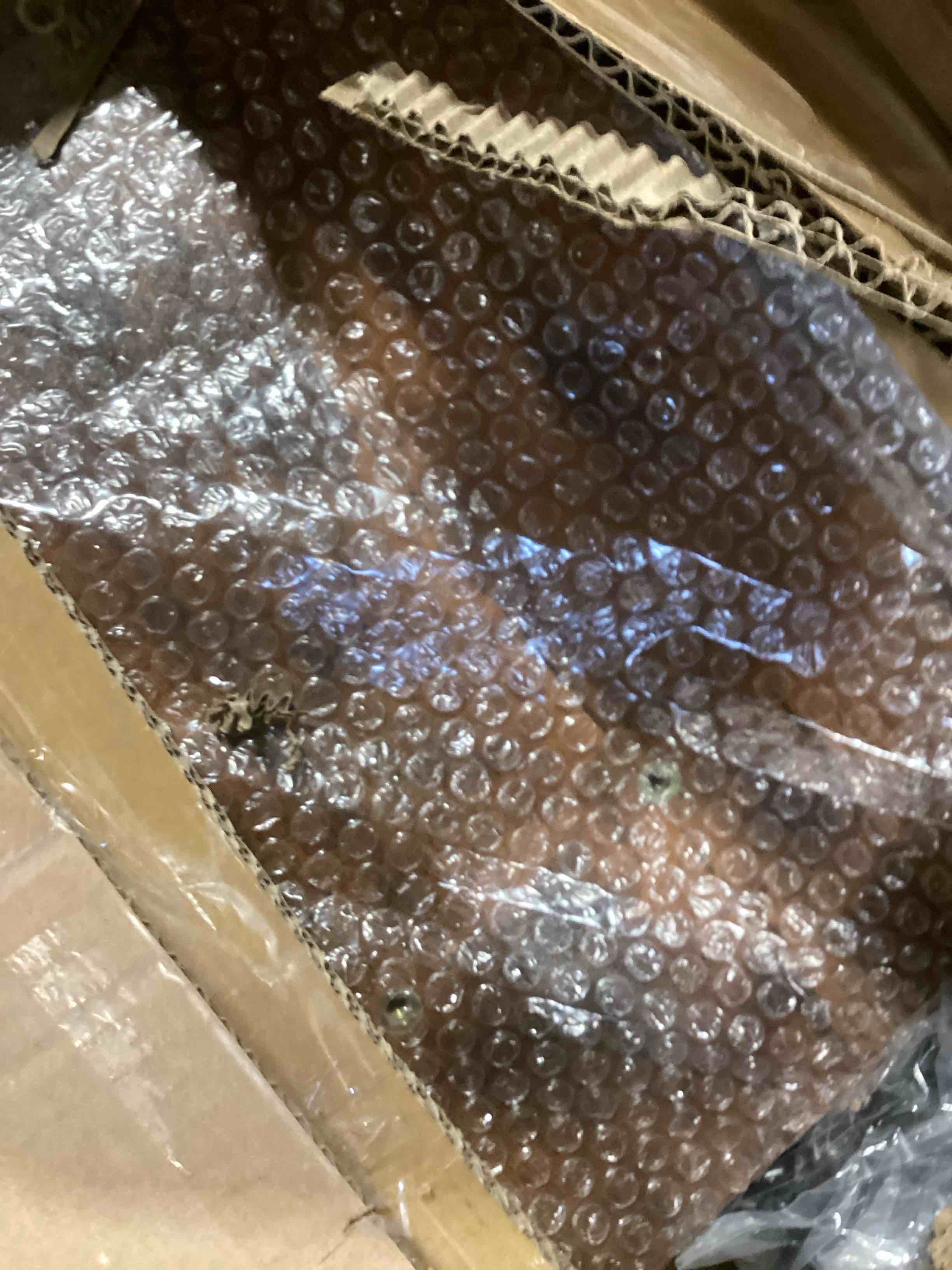 https://s3.amazonaws.com/lotting-images-prod/bidfta/PPE1743595_1747334128885.jpeg