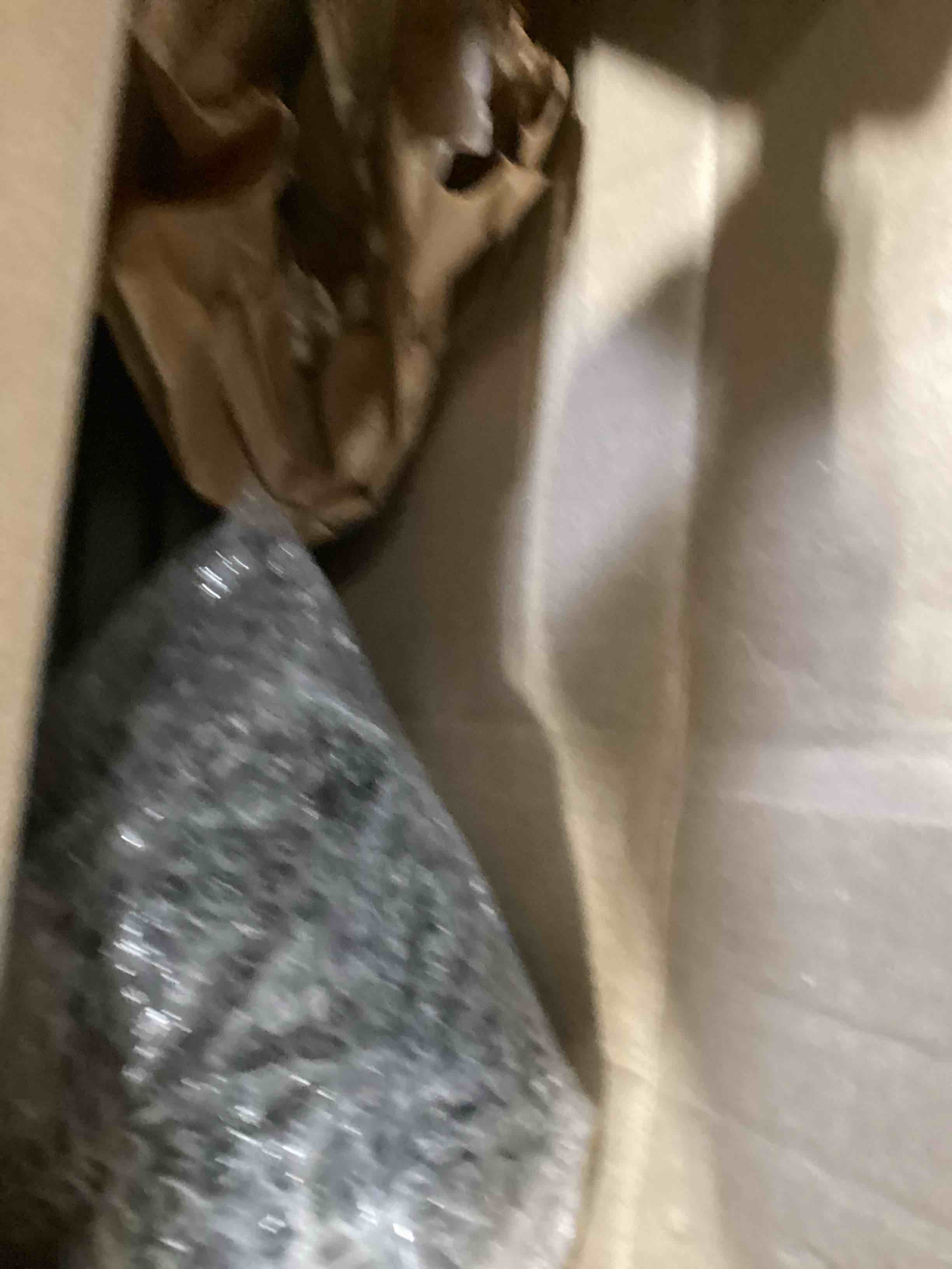 https://s3.amazonaws.com/lotting-images-prod/bidfta/PPE1743876_1747668306268.jpeg
