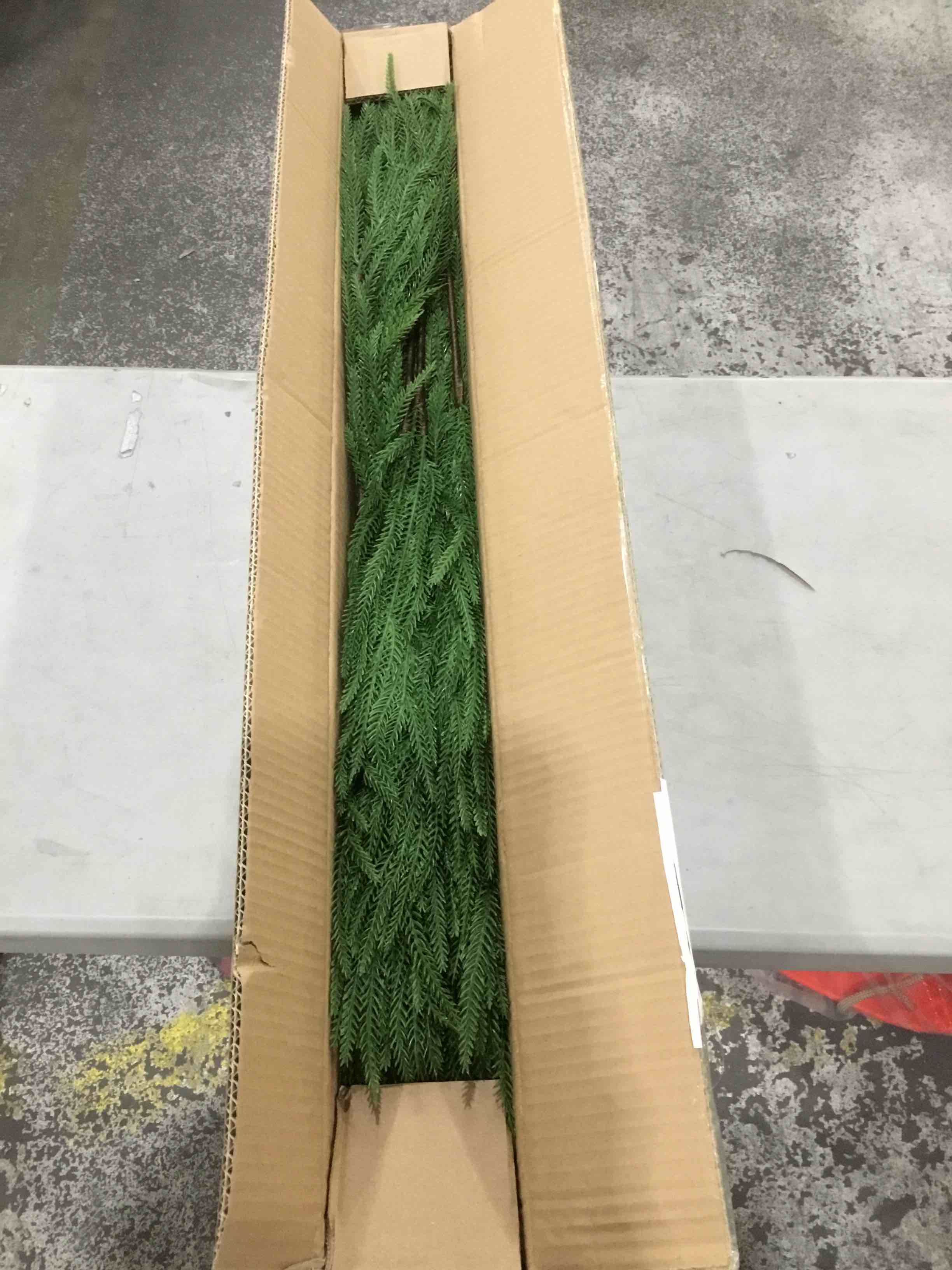 https://s3.amazonaws.com/lotting-images-prod/bidfta/PPE1744135_1739564329522.jpeg