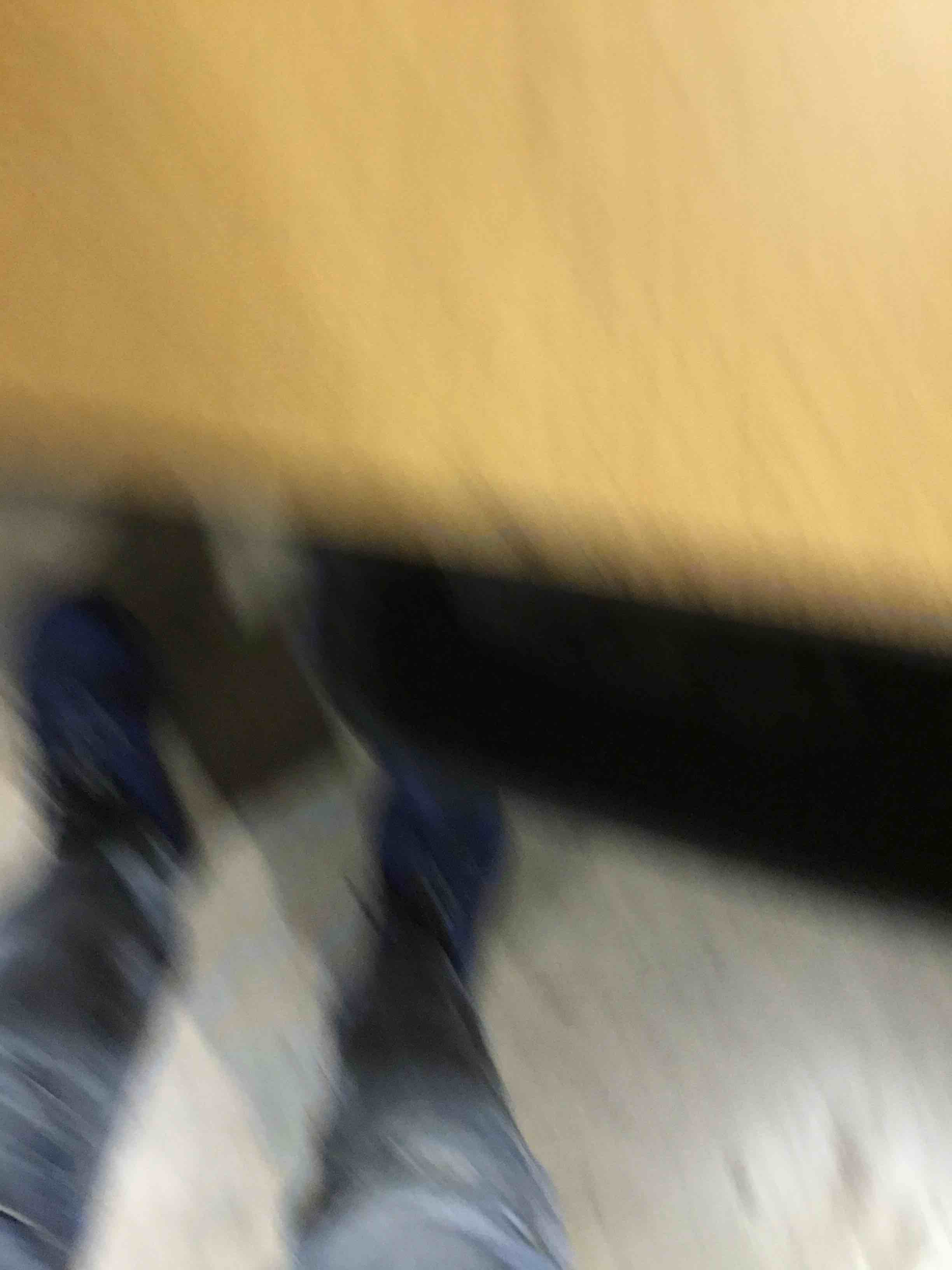 https://s3.amazonaws.com/lotting-images-prod/bidfta/PPE1771012_1735561638821.jpeg