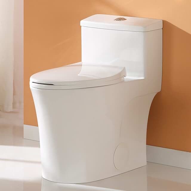 Dual-Flush Elongated One-Piece Toilet 
