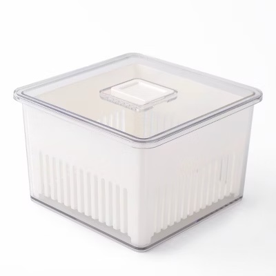 Small Rinse Storage Produce Saver Container