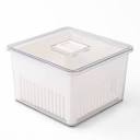 Small Rinse Storage Produce Saver Container 