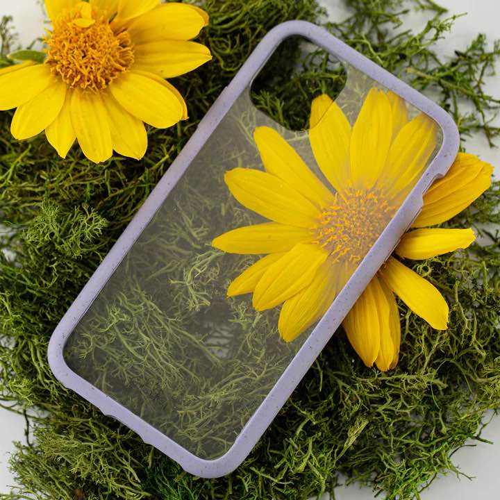 Box Of : PELA CLEAR ECO-FRIENDLY IPHONE XS CASE WITH PURIST BLUE RIDGE