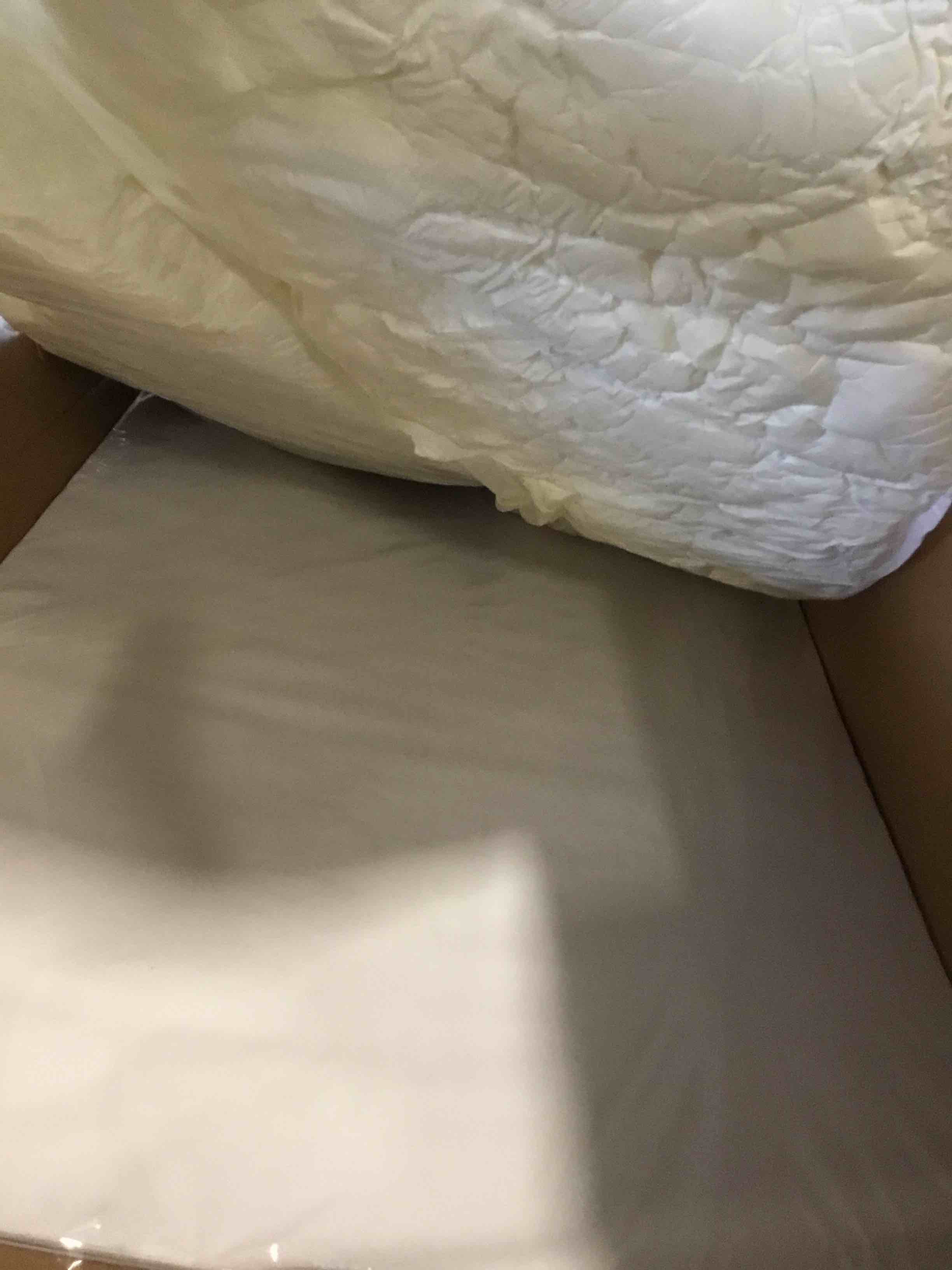 https://s3.amazonaws.com/lotting-images-prod/bidfta/PPE1833669_1734453852229.jpeg