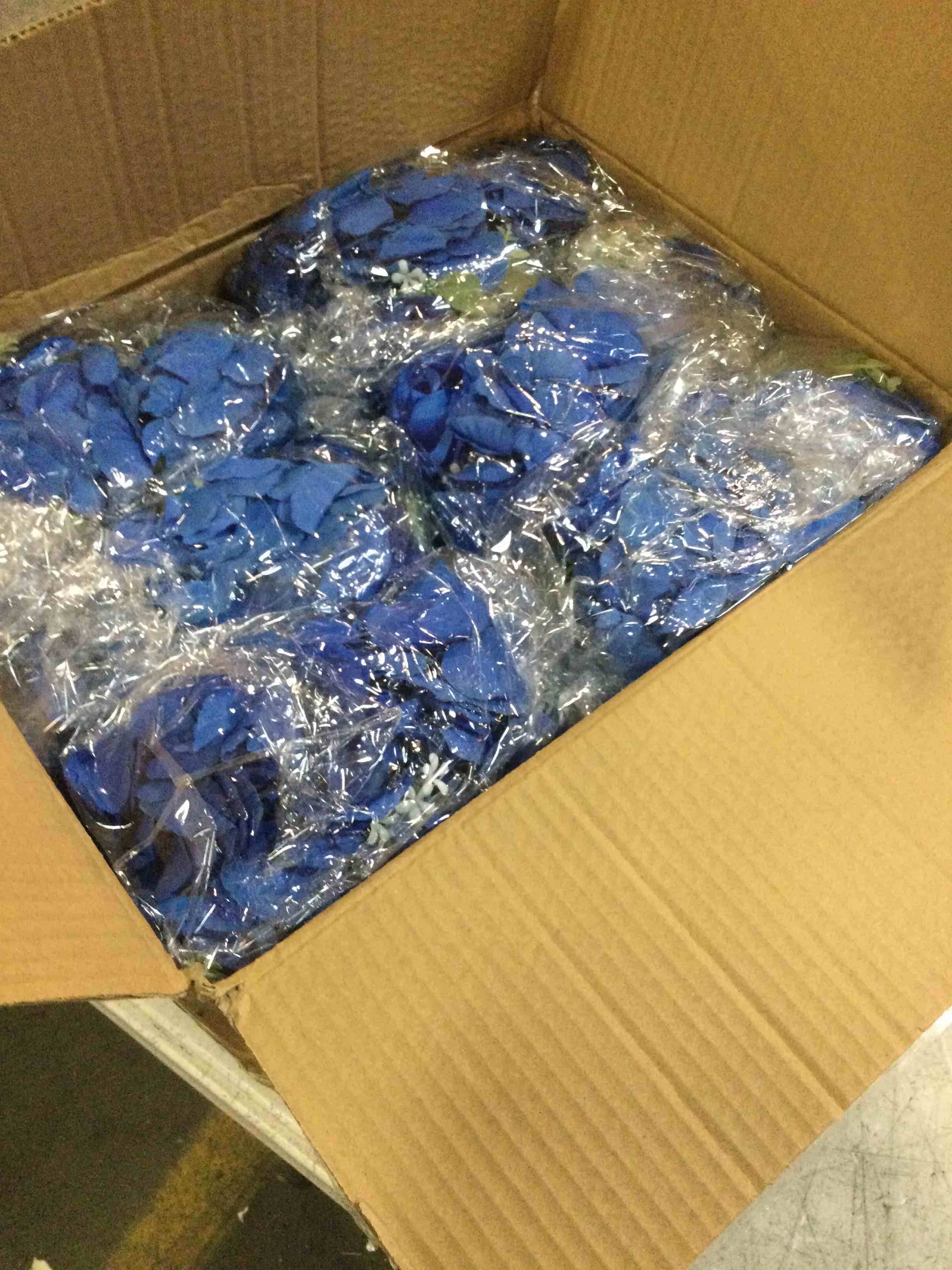 https://s3.amazonaws.com/lotting-images-prod/bidfta/PPE1836678_1735219867355.jpeg