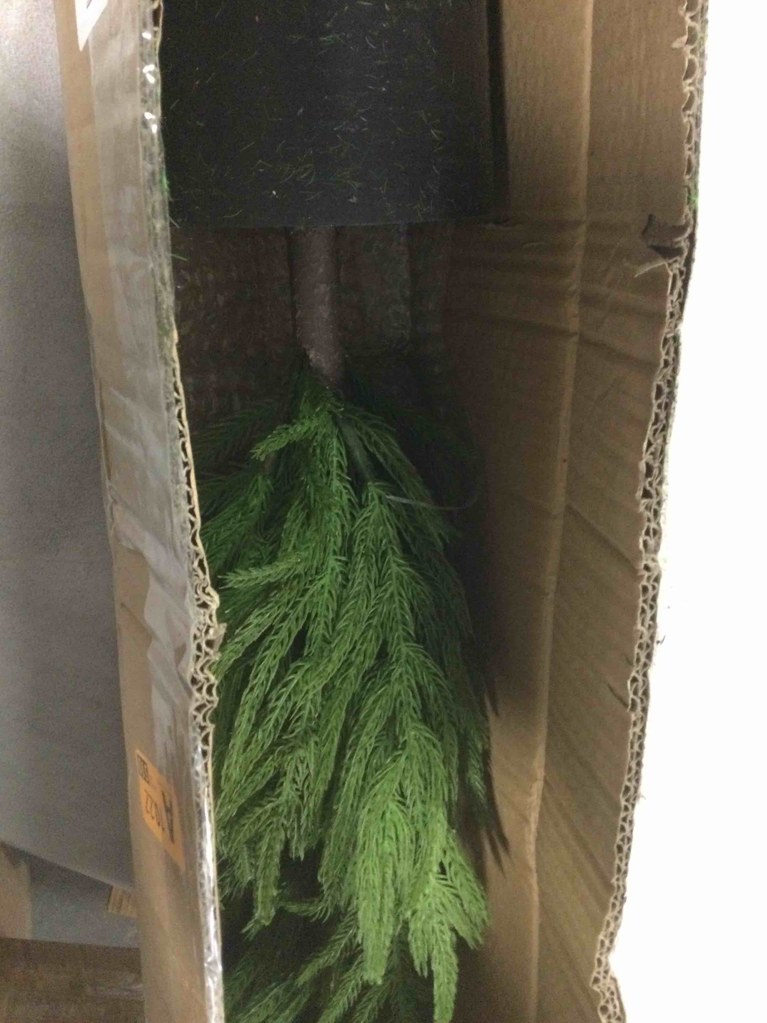 https://s3.amazonaws.com/lotting-images-prod/bidfta/PPE1852469_1736786344609.jpeg
