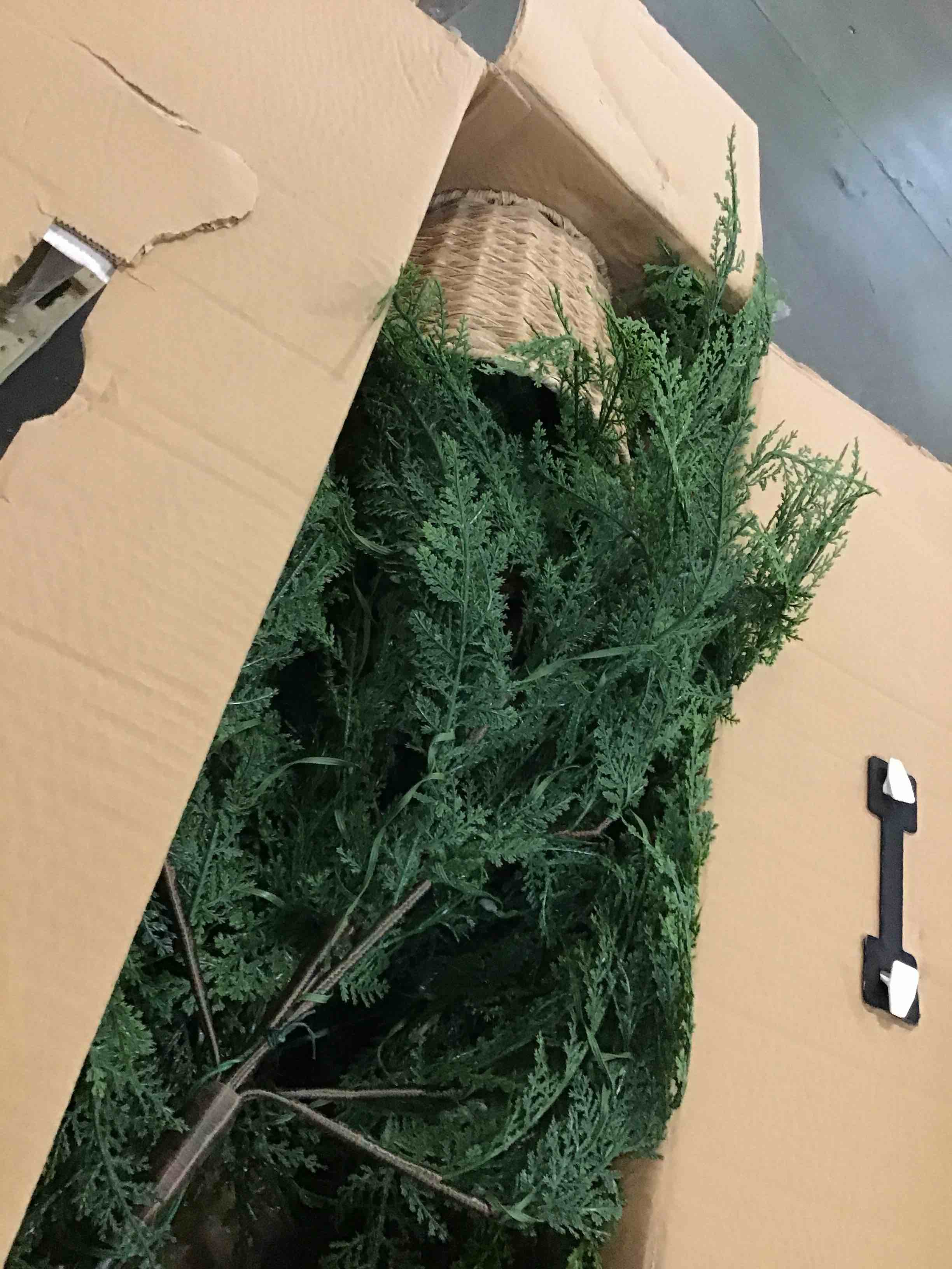 https://s3.amazonaws.com/lotting-images-prod/bidfta/PPE1856583_1732901570627.jpeg