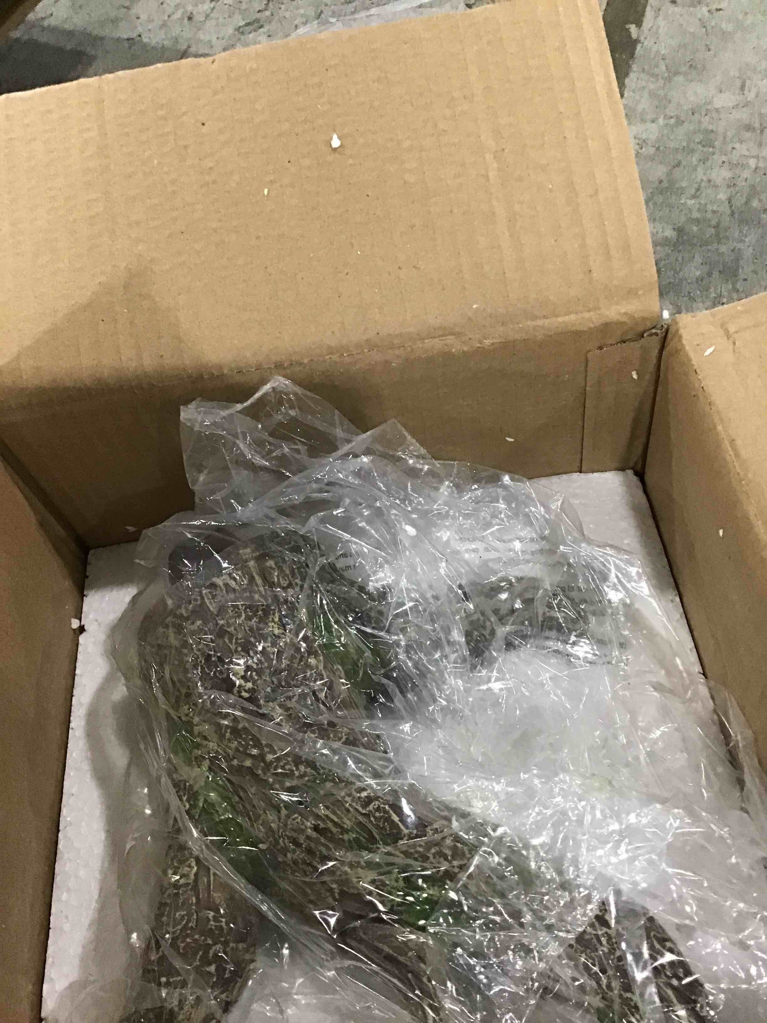 https://s3.amazonaws.com/lotting-images-prod/bidfta/PPE1864503_1738083325287.jpeg