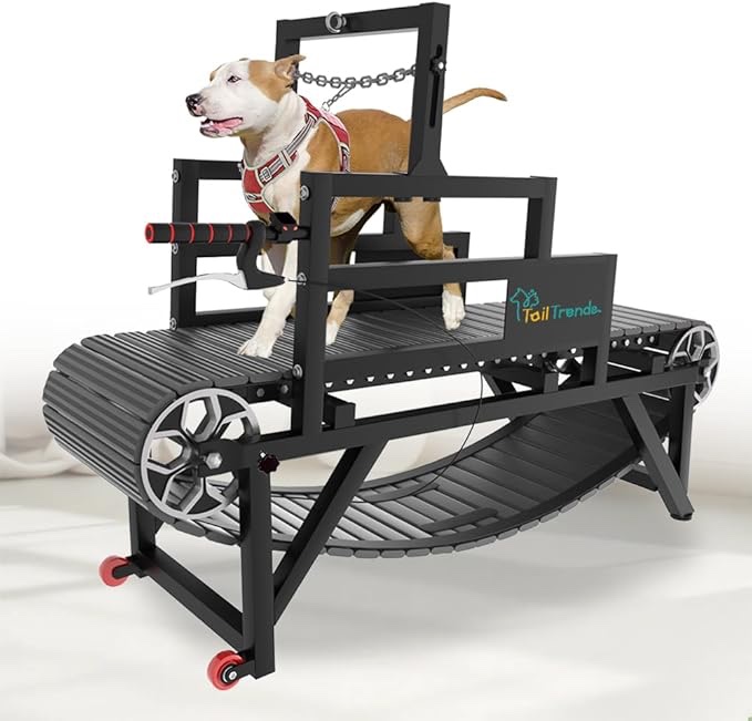 Dog Treadmill with Disc Brake, Resistance Adjustment & Speedometer, Upgraded PE Slatmill for Large & Medium Dogs, Easy to Move Pet Running Machine for Indoor & Outdoor