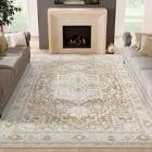 jinchan Area Rug 8x10 Tribal Living Room Rug Washable Rug Carpet Soft Non Slip Rug Accent Rug Bedroom Classroom Farmhouse Grey