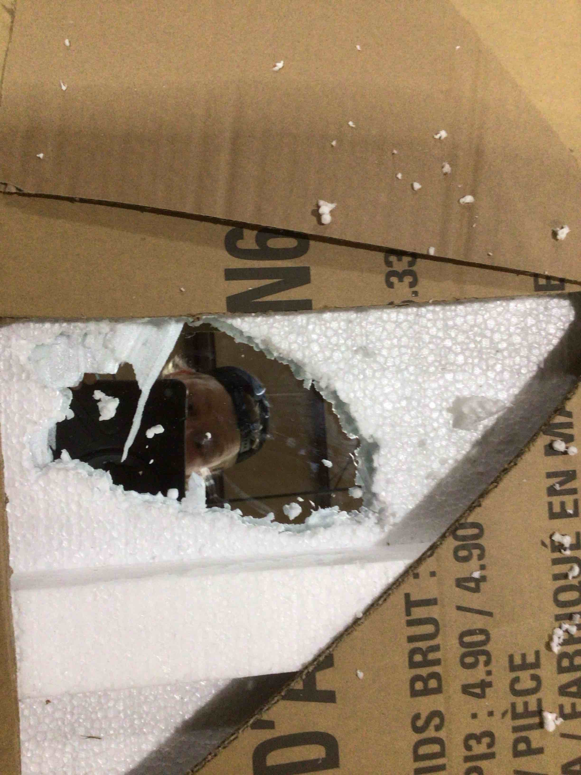 https://s3.amazonaws.com/lotting-images-prod/bidfta/PPE1879938_1744993002980.jpeg