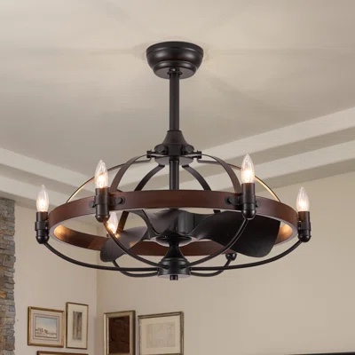 ceiling fan with lights