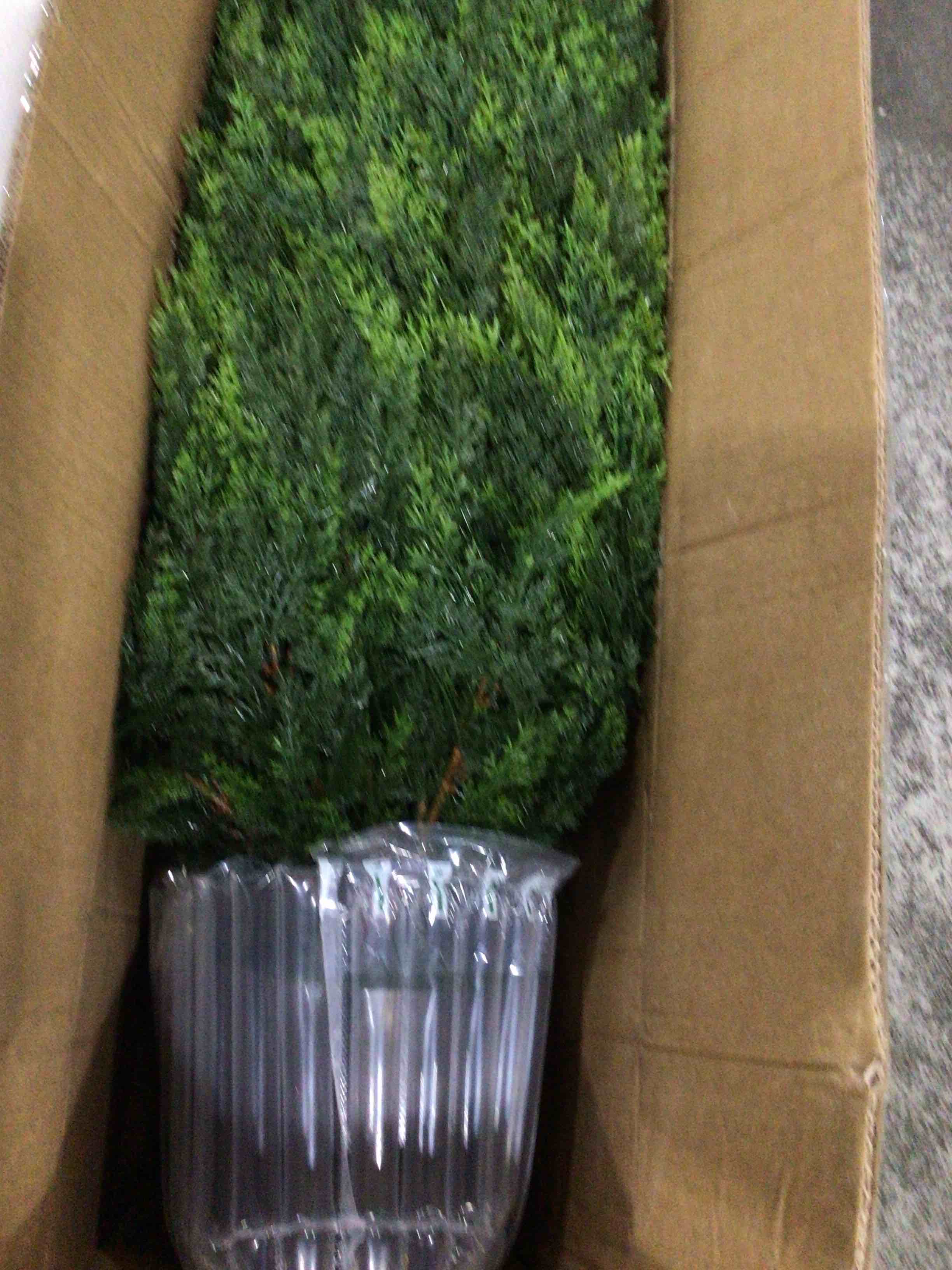 https://s3.amazonaws.com/lotting-images-prod/bidfta/PPE1883647_1747316696783.jpeg