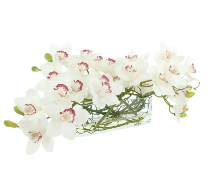 Orchids Arranged in Oval Glass Vase with Curly Willow