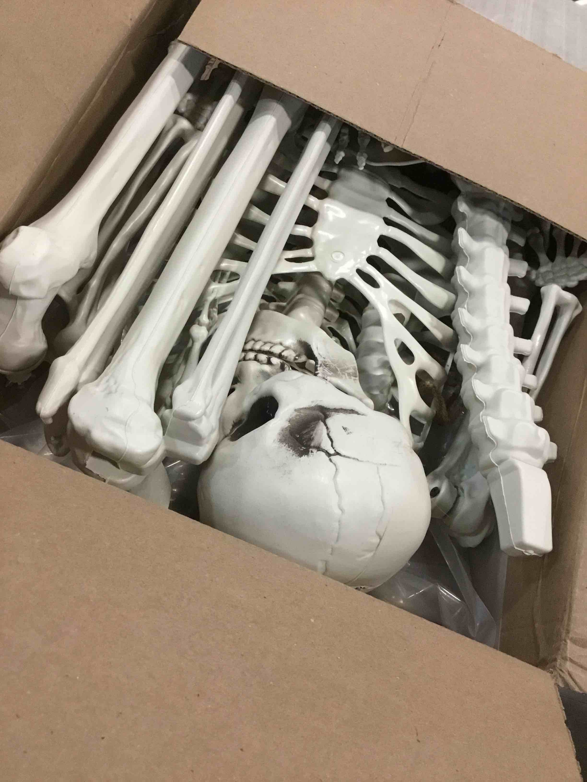 https://s3.amazonaws.com/lotting-images-prod/bidfta/PPE1911560_1734537686750.jpeg