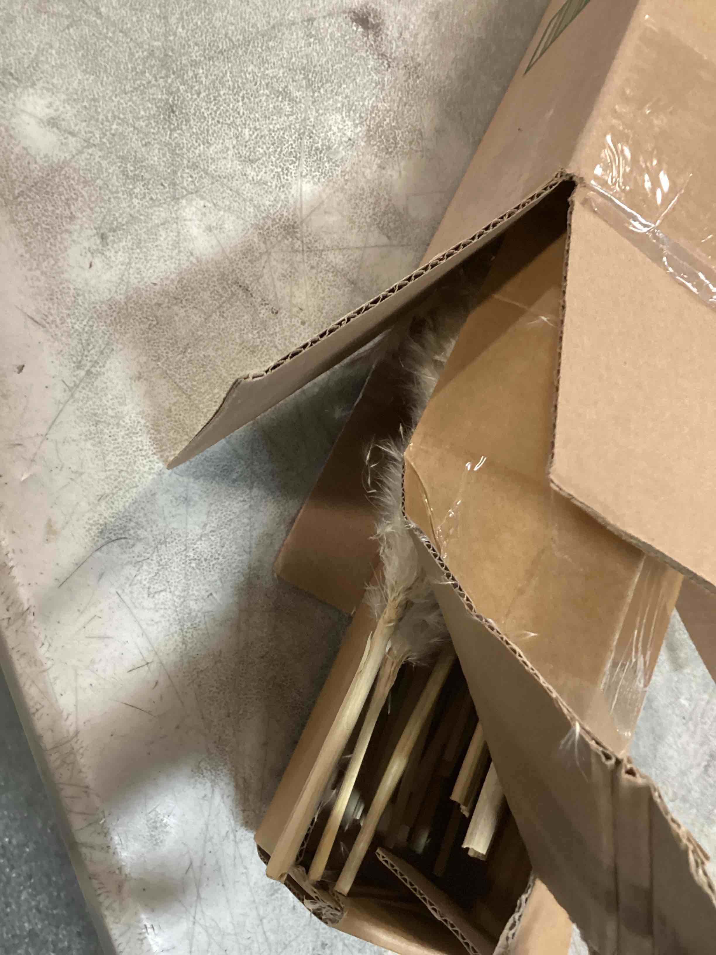 https://s3.amazonaws.com/lotting-images-prod/bidfta/PPE1936157_1743614245211.jpeg