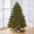 ( Incomplete box B only). The World's Best Prelit Noble Fir (Incandescent Lights 9.5’ 