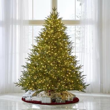 The World's Best Prelit Fraser Fir