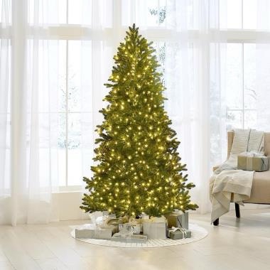 The World's Best Prelit LED Noble Fir