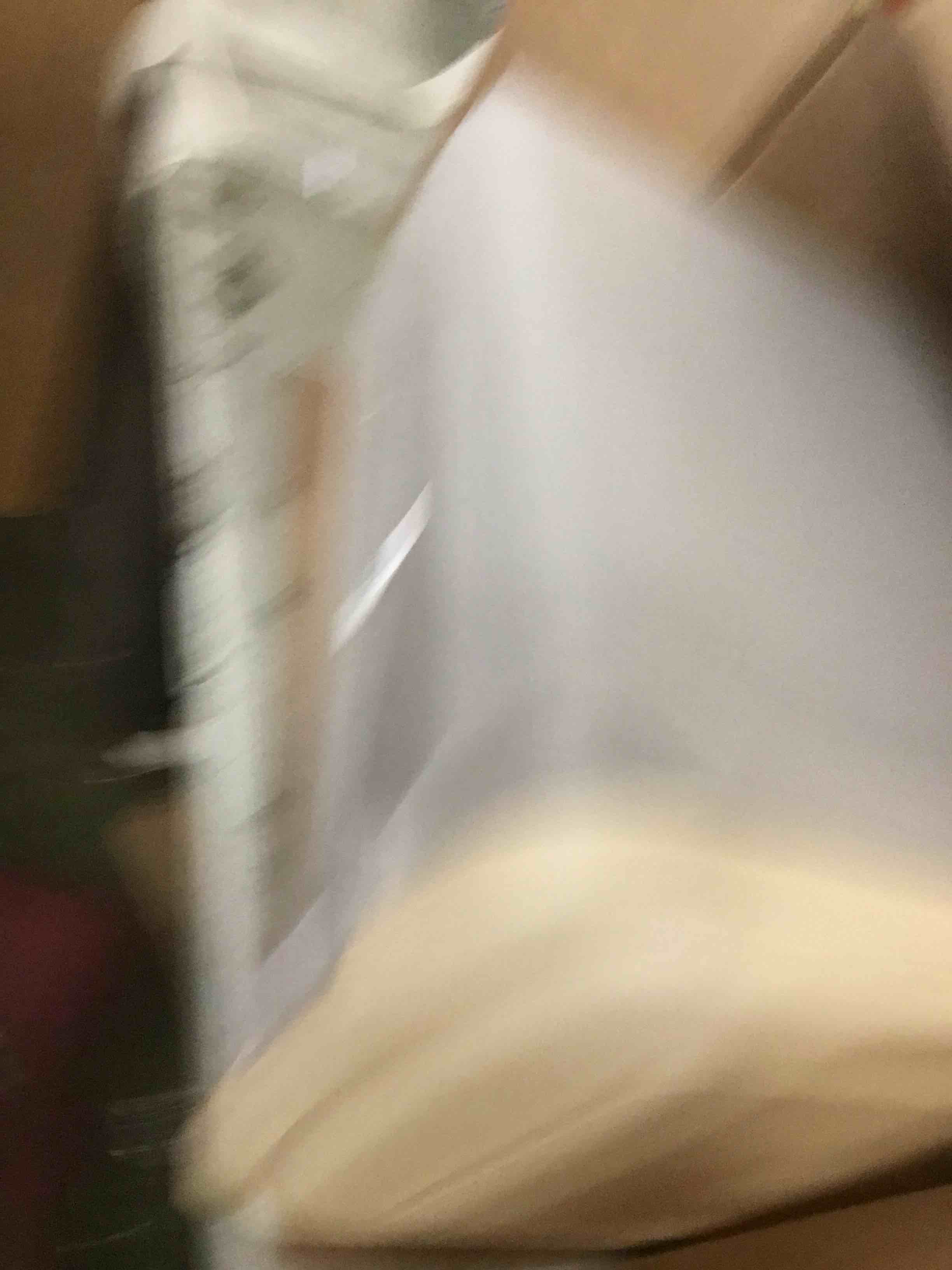 https://s3.amazonaws.com/lotting-images-prod/bidfta/PPE1949632_1743618182626.jpeg