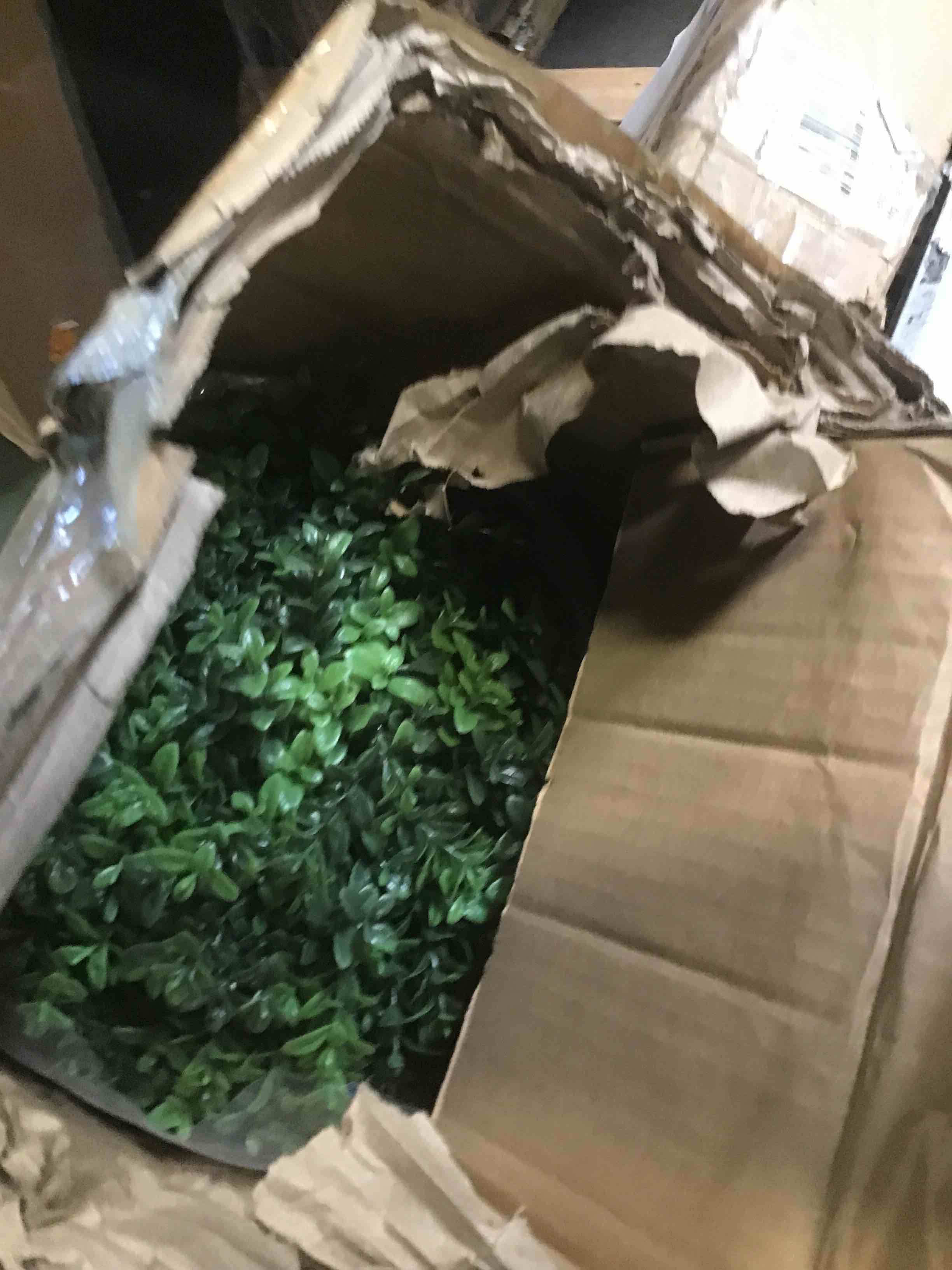 https://s3.amazonaws.com/lotting-images-prod/bidfta/PPE1950253_1744052203882.jpeg