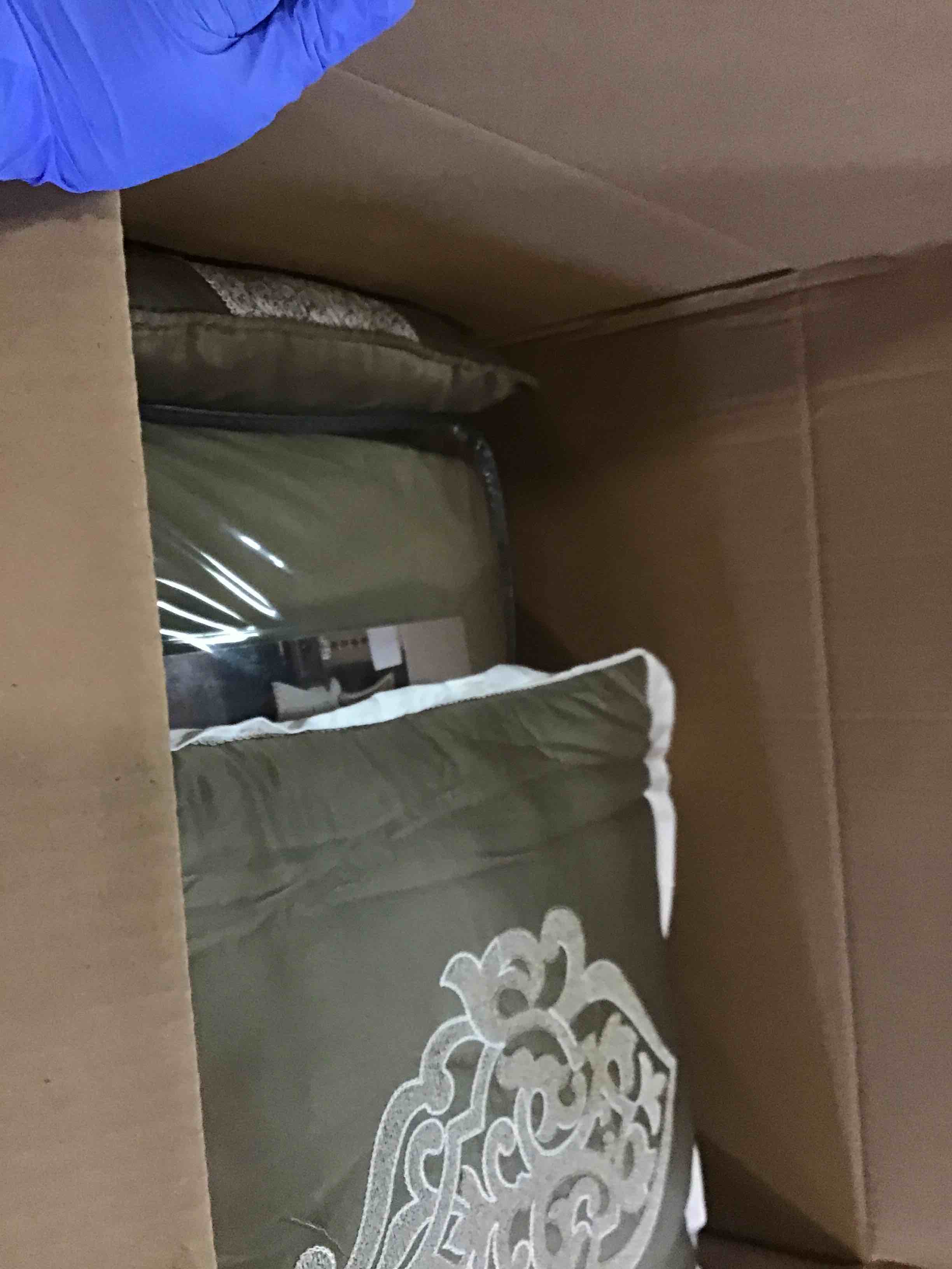 https://s3.amazonaws.com/lotting-images-prod/bidfta/PPE1954725_1742844617602.jpeg